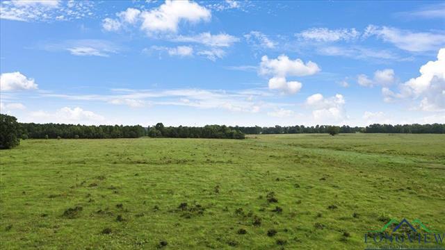 Henderson, Texas, 75654, United States, ,Land,For Sale,1885334