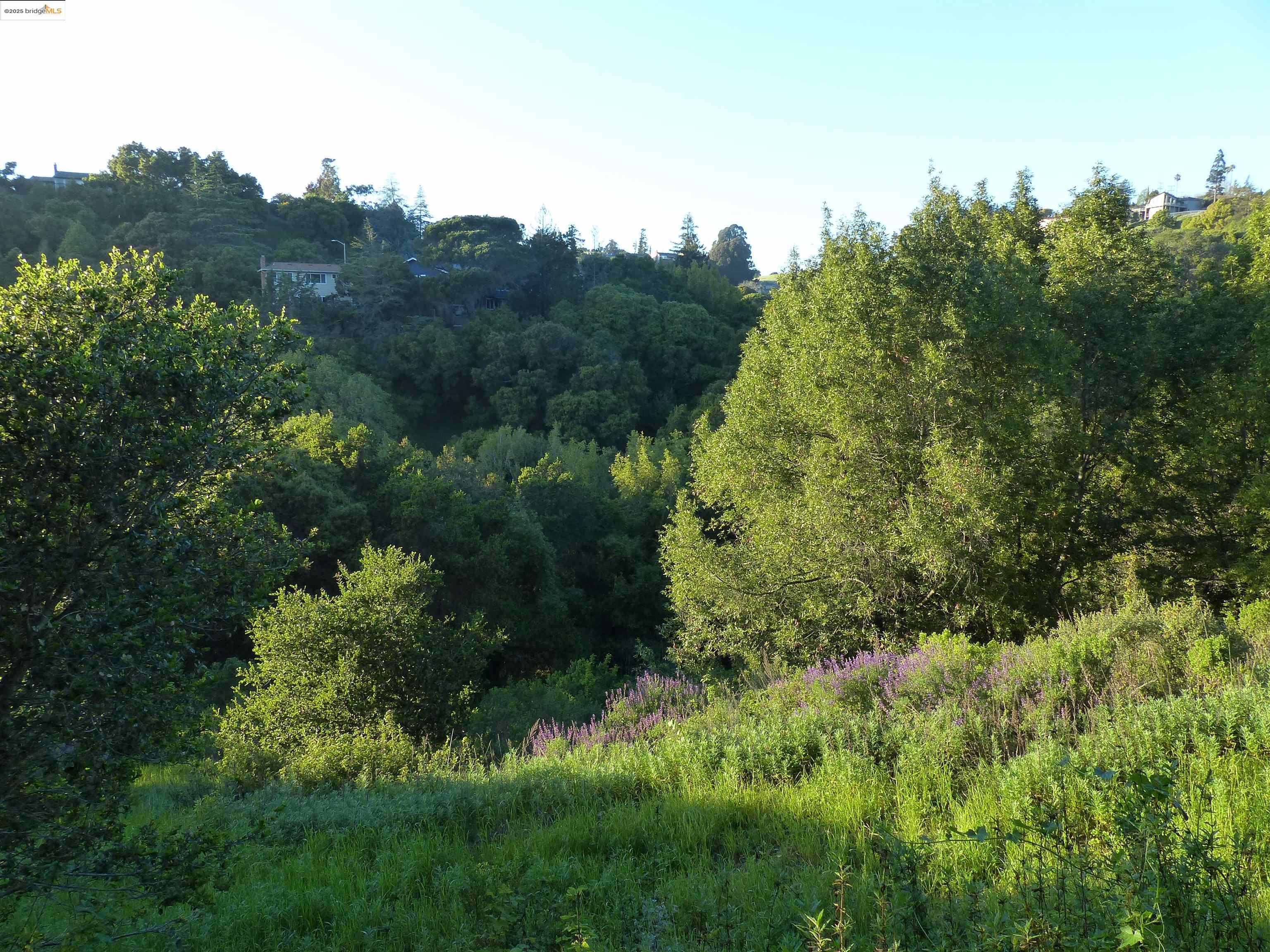 Oakland, California, 94605, United States, ,Land,For Sale,1958207