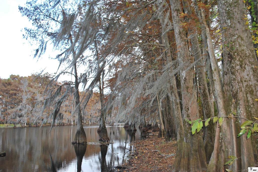 Sterlington, Louisiana, 71280, United States, 4 Bedrooms Bedrooms, ,3 BathroomsBathrooms,Residential,For Sale,1995484