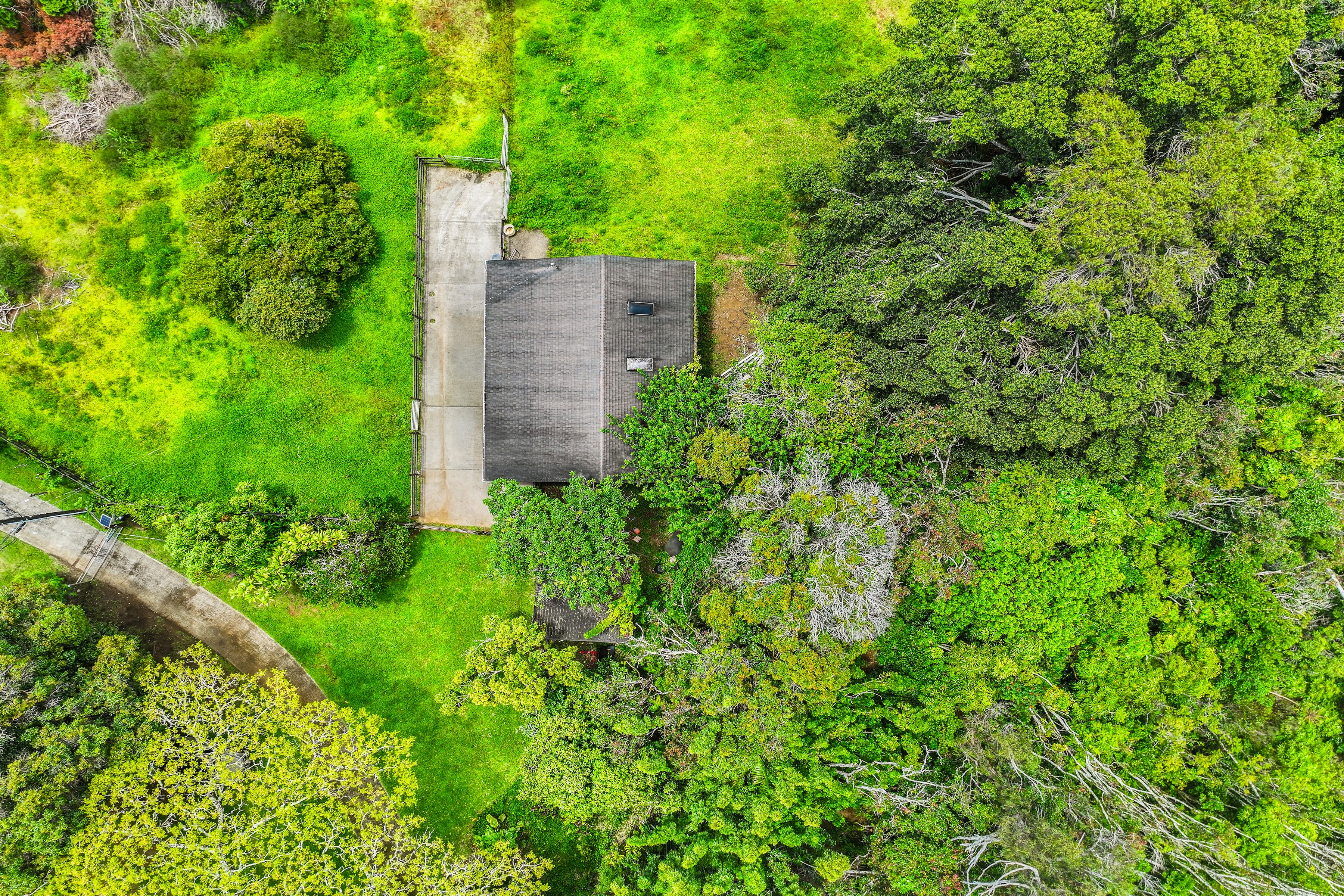 Architectural Haiku Retreat on Nearly 10 Private Acres - 物件實景
