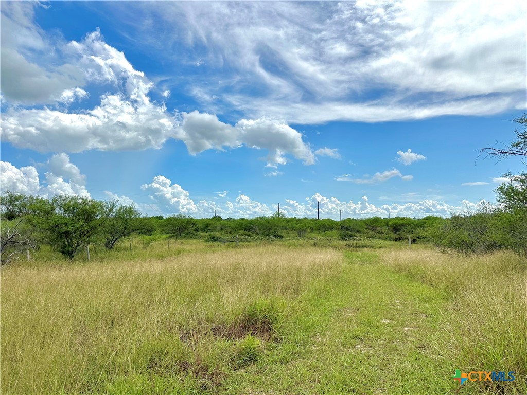 Nursery, Texas, 77976, United States, ,Land,For Sale,1988959