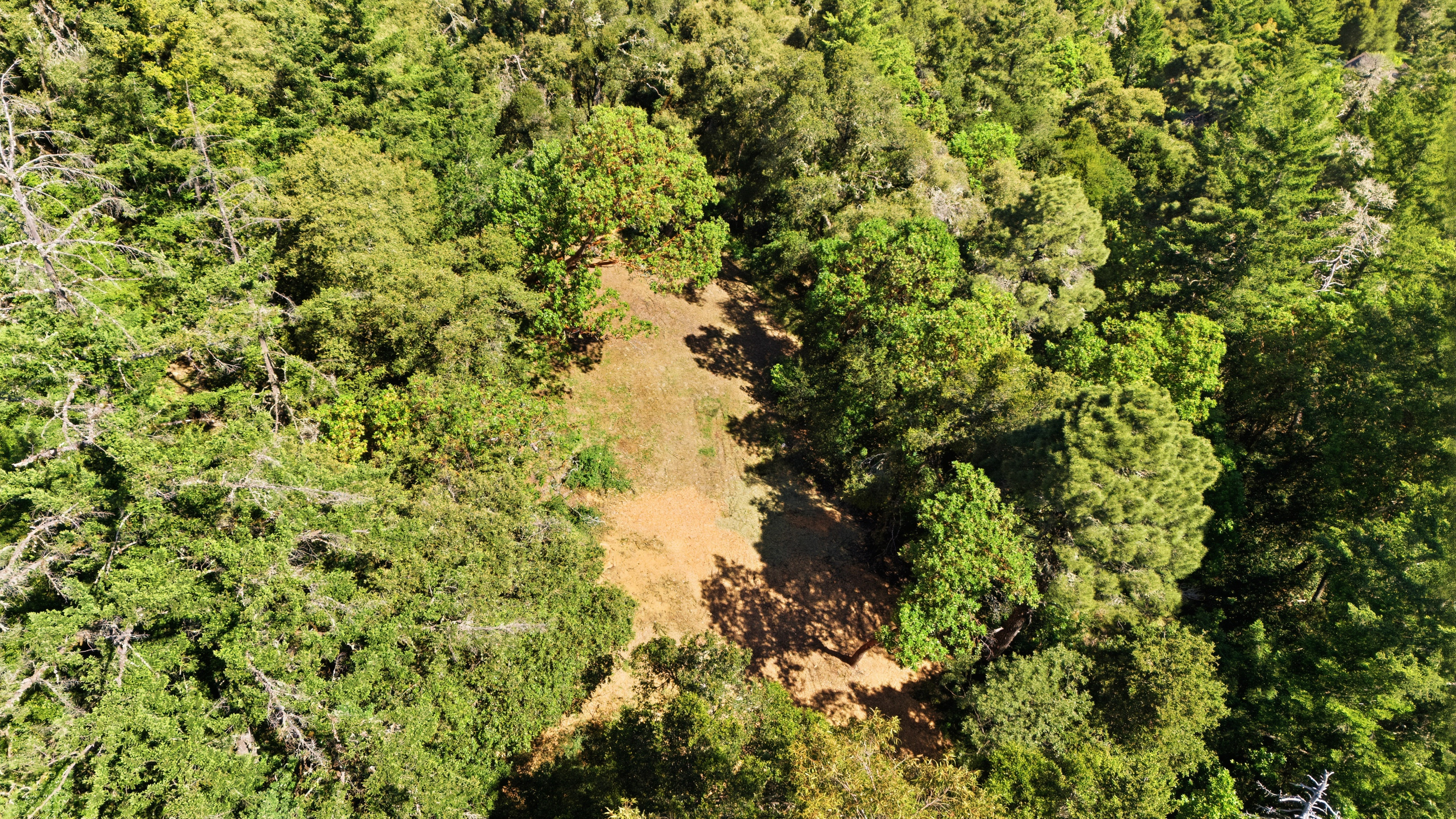  Exceptional Five-Acre Estate Opportunity with Bay Area Views - 物件實景
