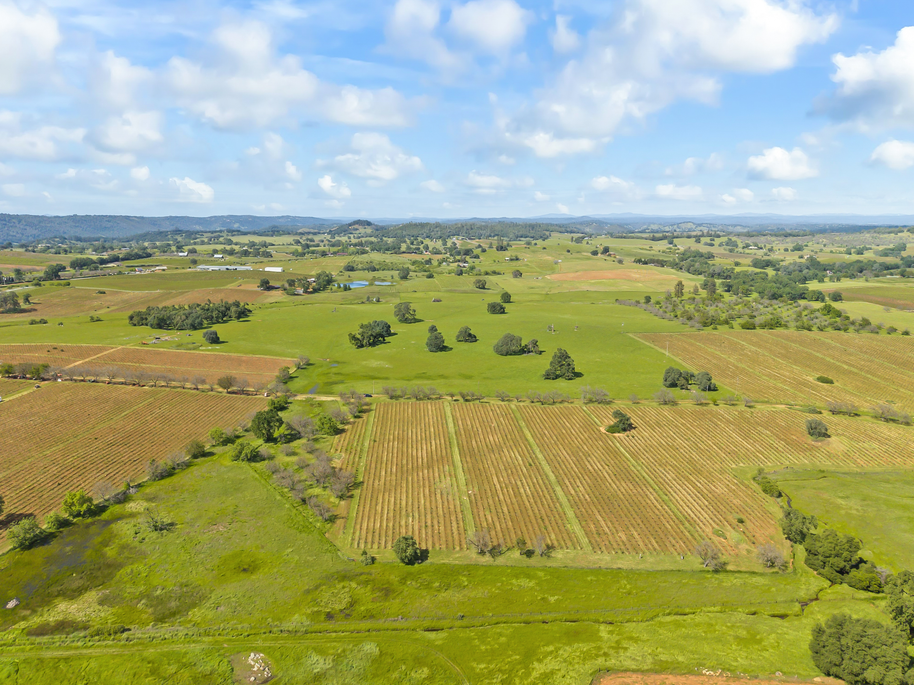  107 Acres - Seasonal Creek - Legacy - 物件實景