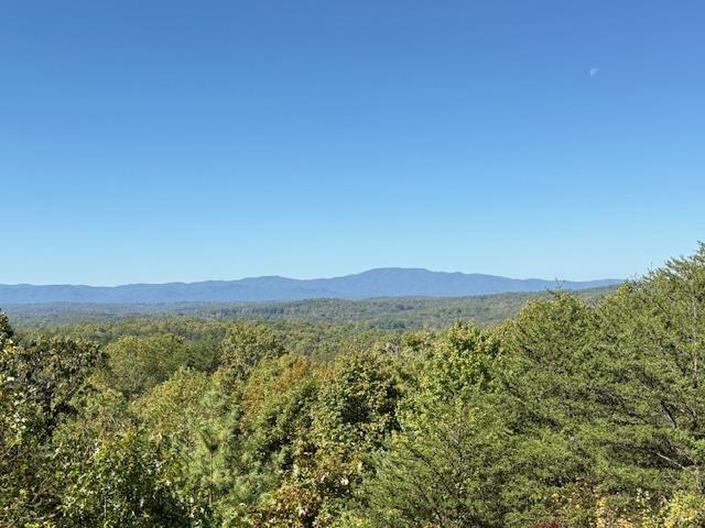 Mineral Bluff, Georgia, 30559, United States, 3 Bedrooms Bedrooms, ,3 BathroomsBathrooms,Residential,For Sale,1986292