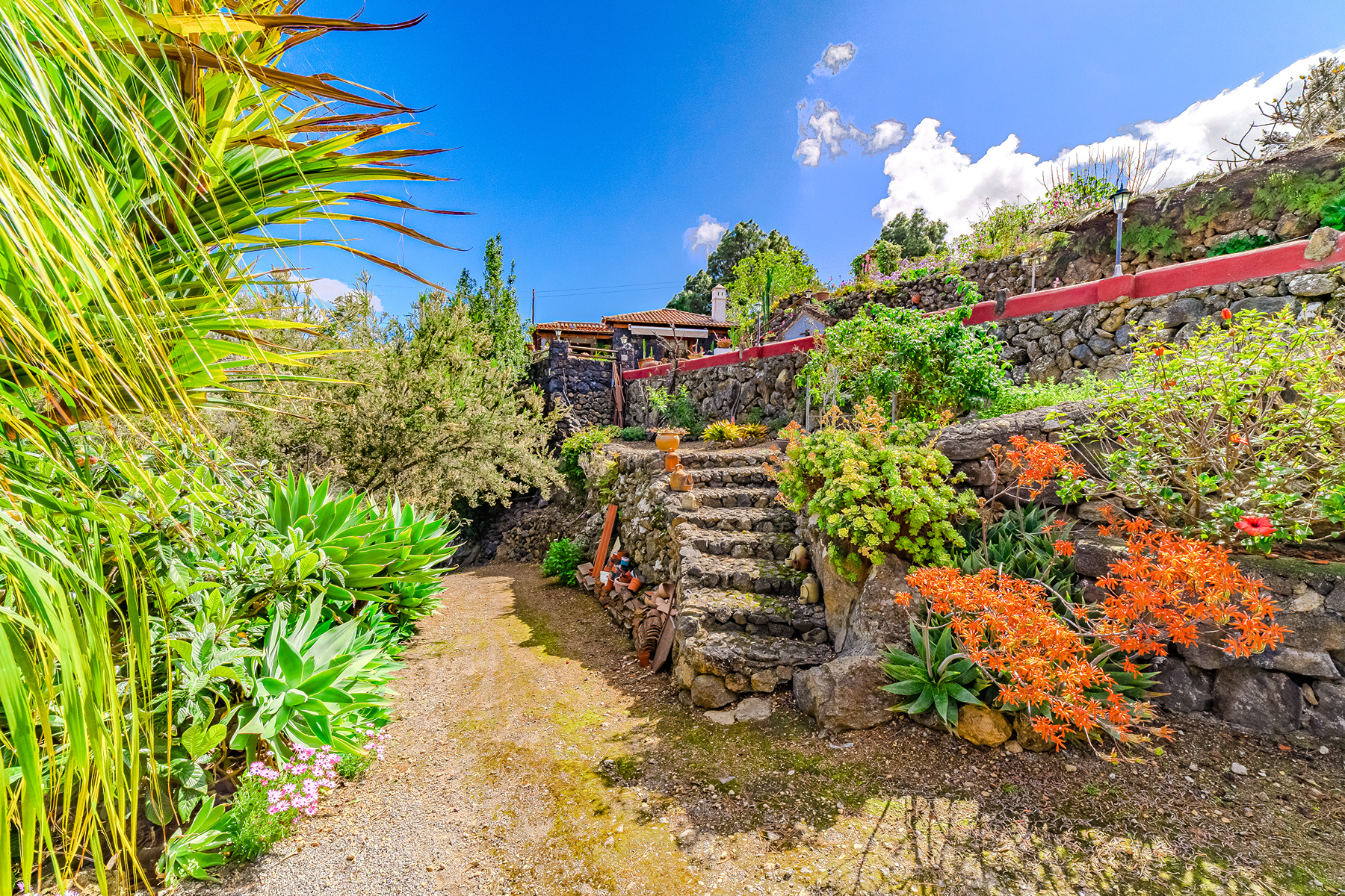  Rustic farmhouse in Icod de los Vinos, Tenerife - 物件實景