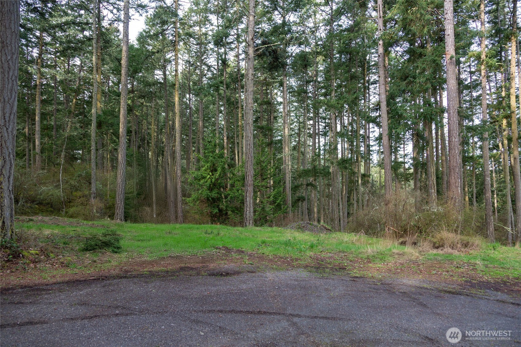 Friday Harbor, Washington, 98250, United States, ,Land,For Sale,1796697