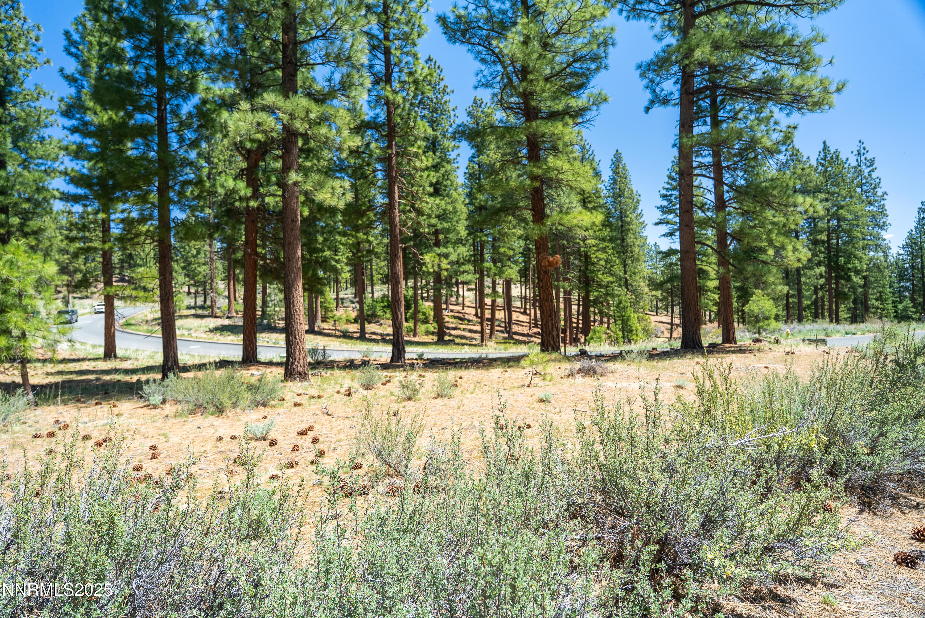 Carson City, Nevada, 89705, United States, ,Land,For Sale,1848376