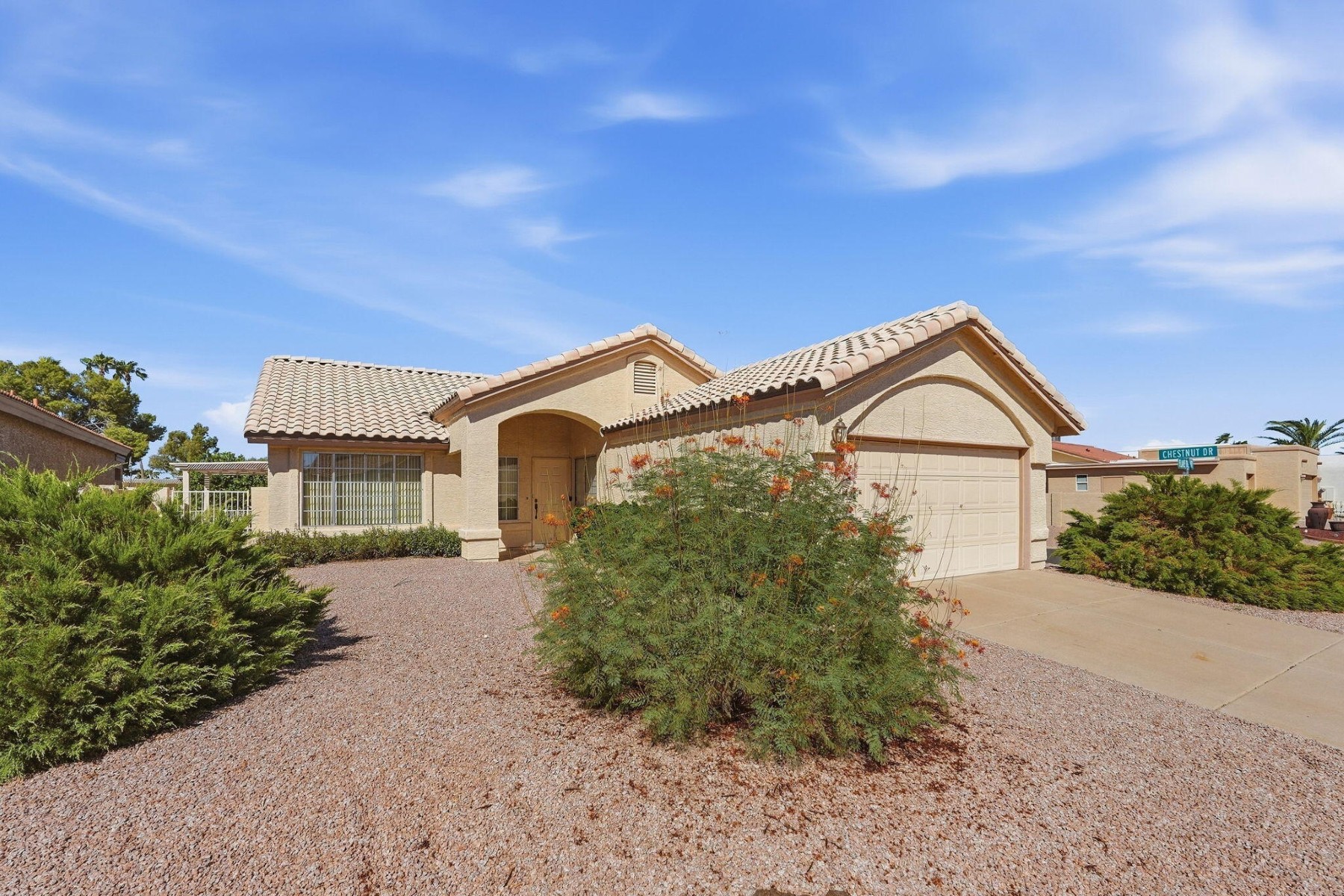  26202 S Flame Tree Drive  Sun Lakes, AZ - 物件實景