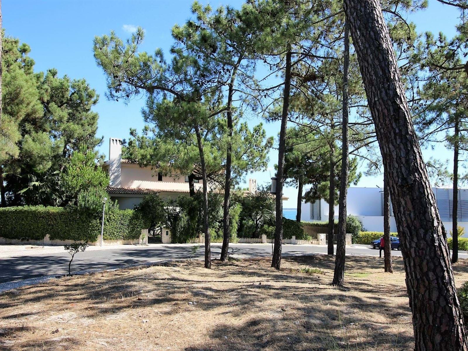 Grândola, Setúbal, 7570-779, PT, ,Land,For Sale,1699910