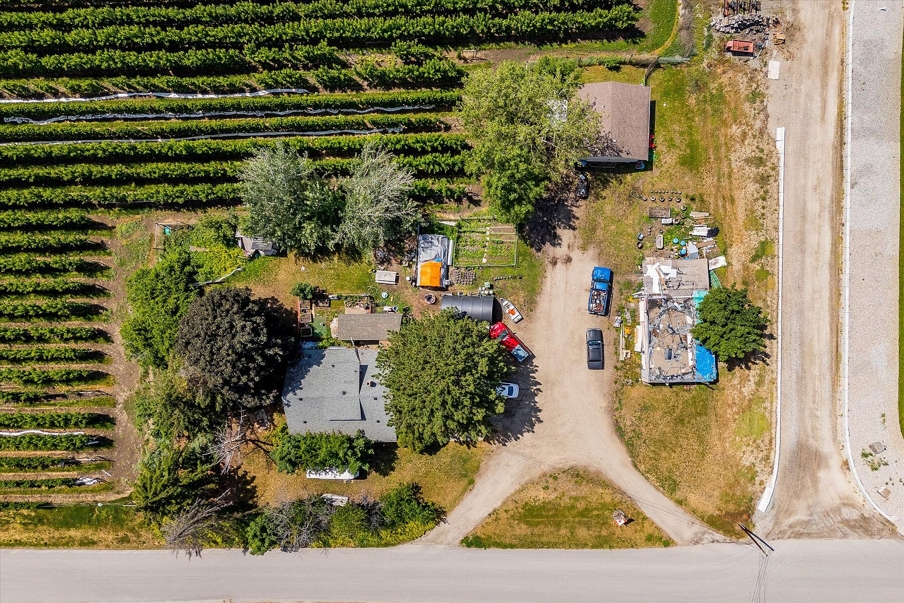  10 Acre Orchard - 物件實景