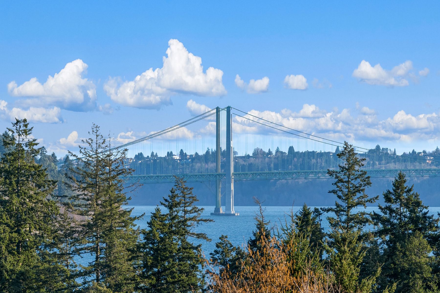  1157 12th Avenue, Fox Island, WA, 98333 - 物件實景