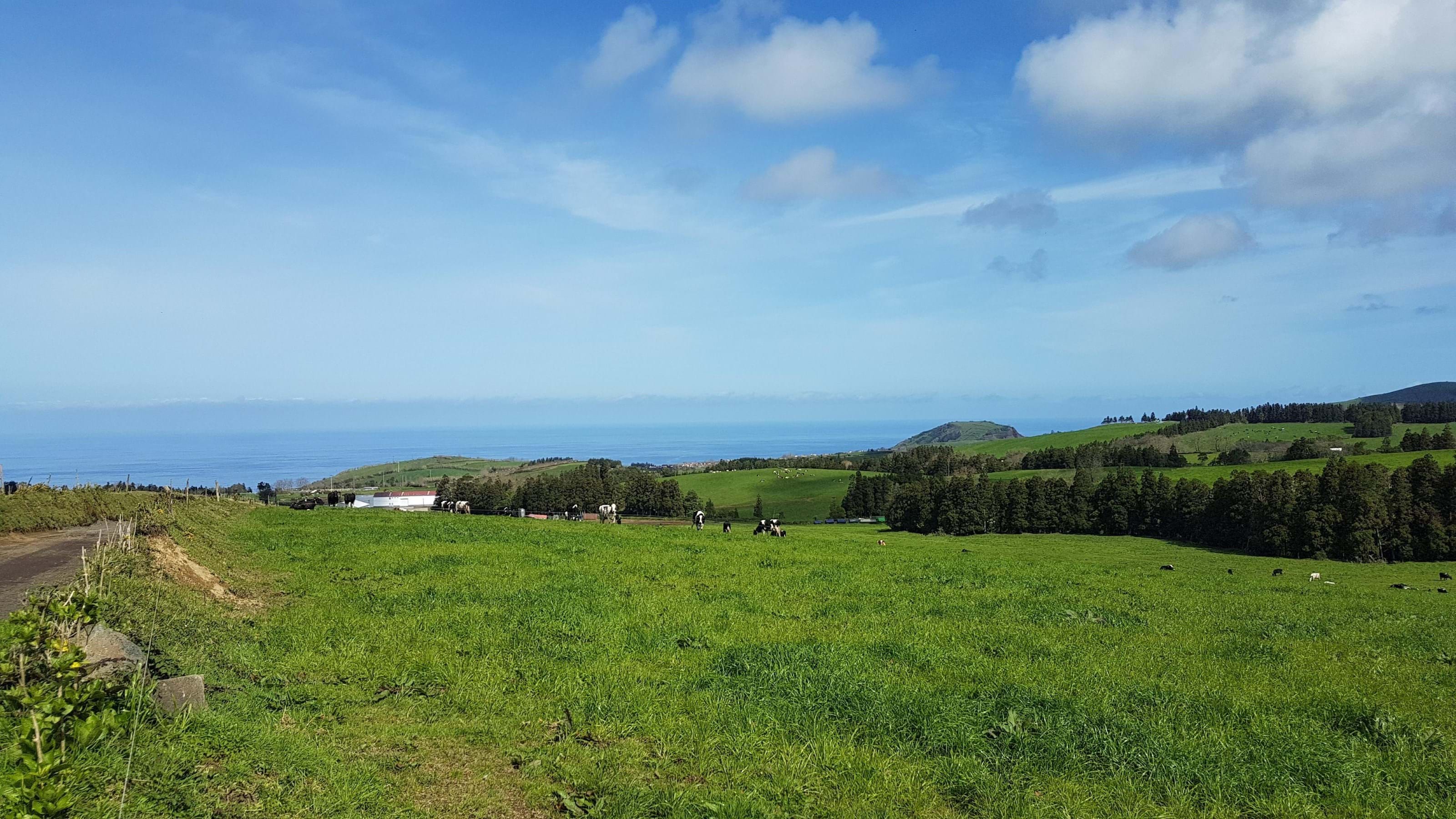 Ribeira Grande, Ilha de São Miguel, 9600, PT, ,Land,For Sale,1699985
