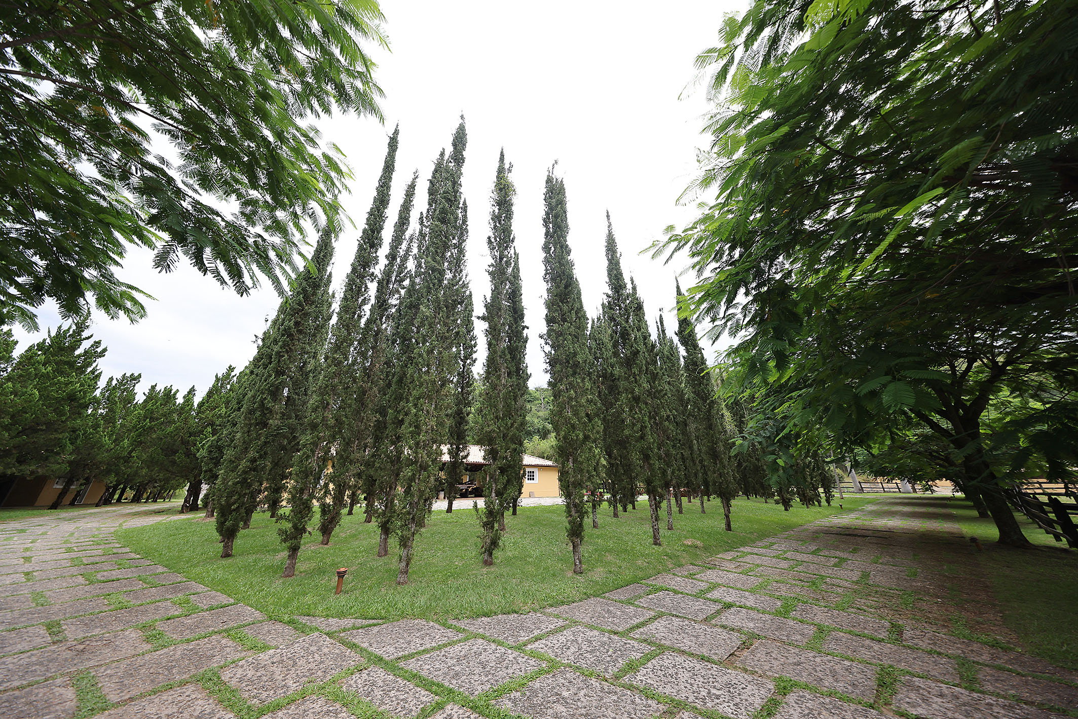  Renovated Farm with an Impressive Main Residence and Complete Infrastructure - 物件實景