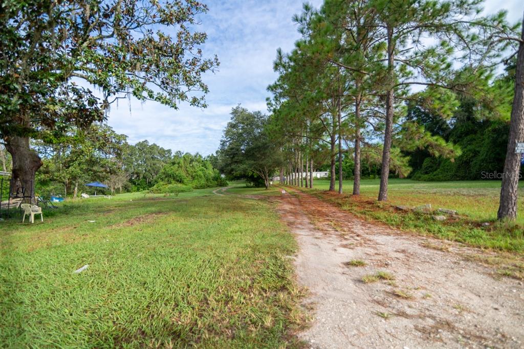 9358 Harney Road, Thonotosassa, Florida, 33592, United States, ,Land,For Sale,9358 Harney Road,1200693