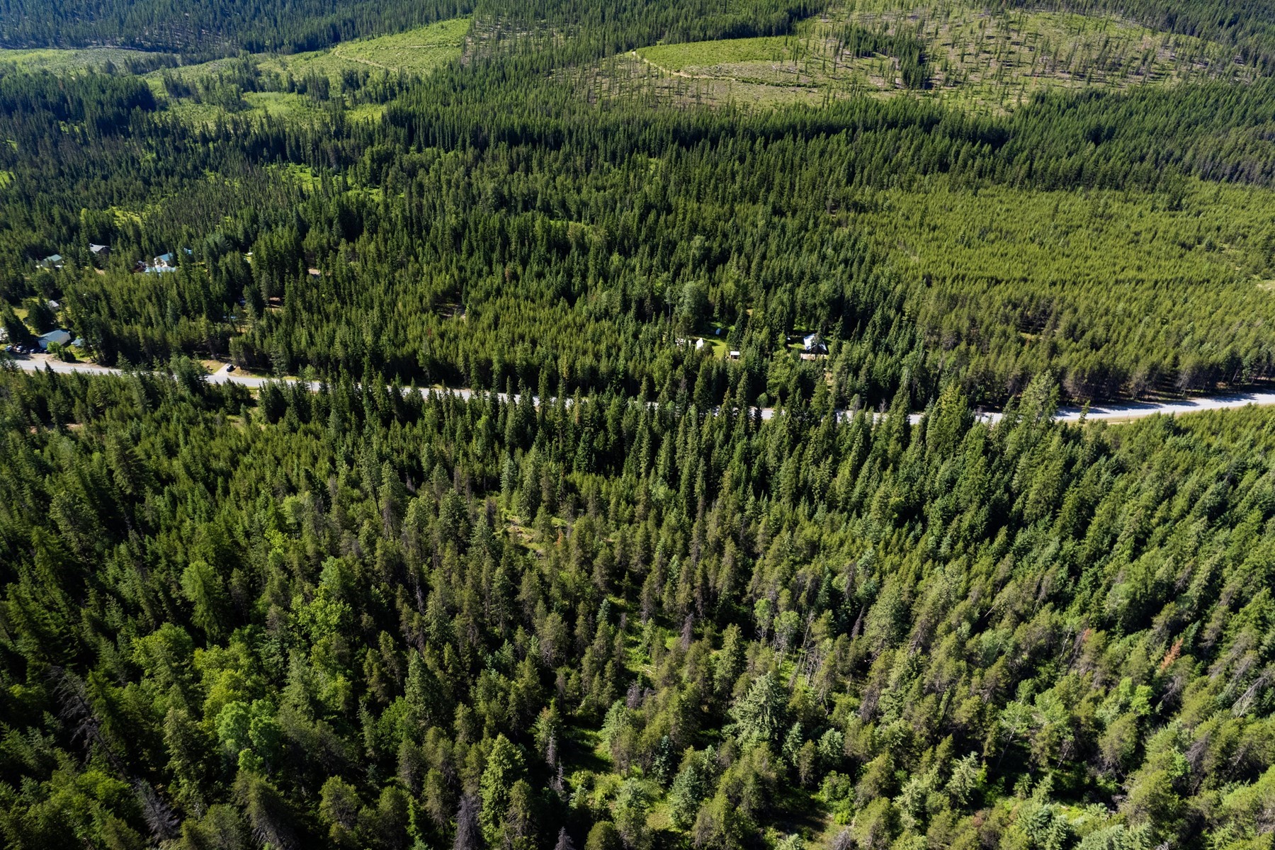  12 Forested Acres Priest Lake Idaho - 物件實景