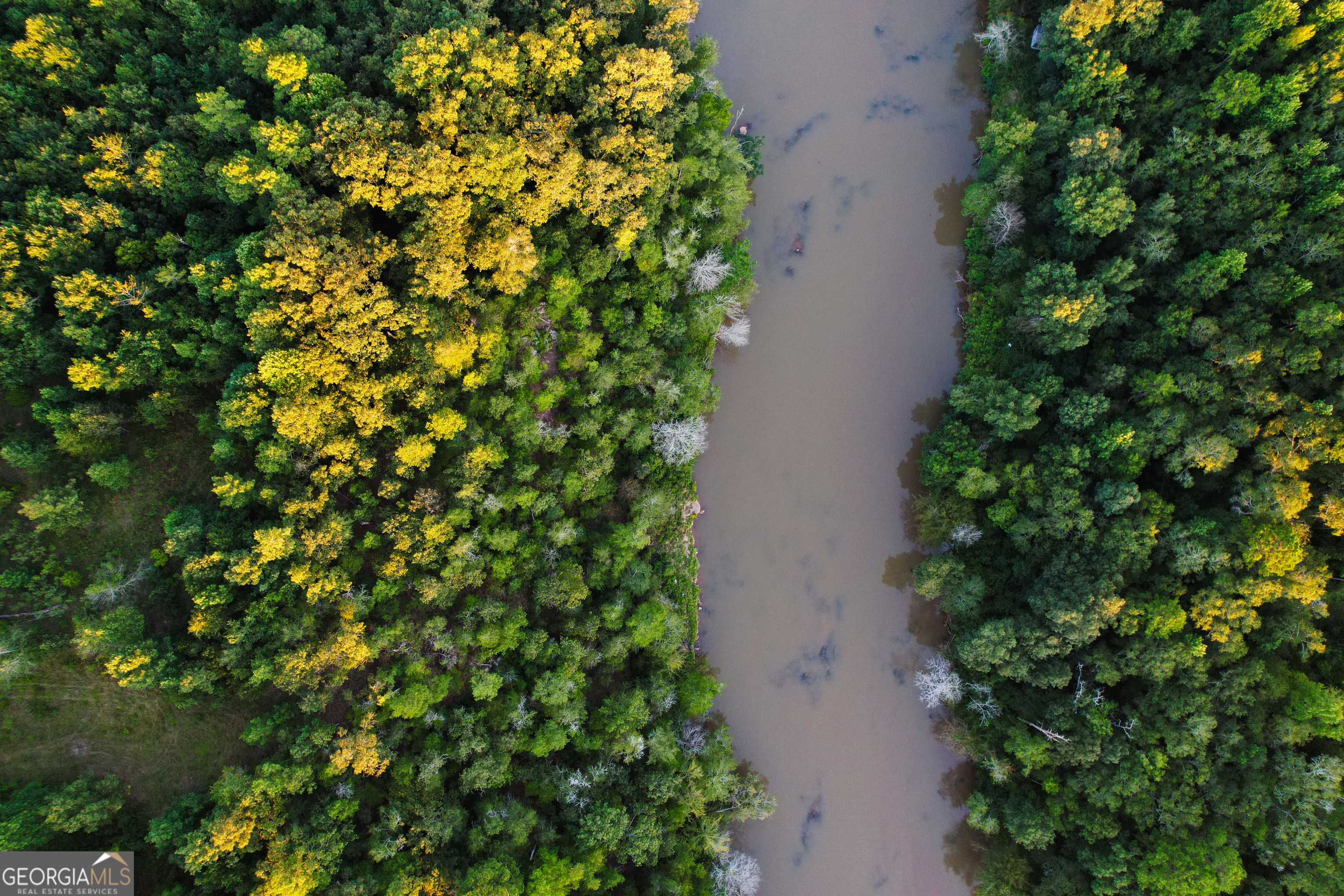 Bowman, Georgia, 30624, United States, ,Land,For Sale,1988197
