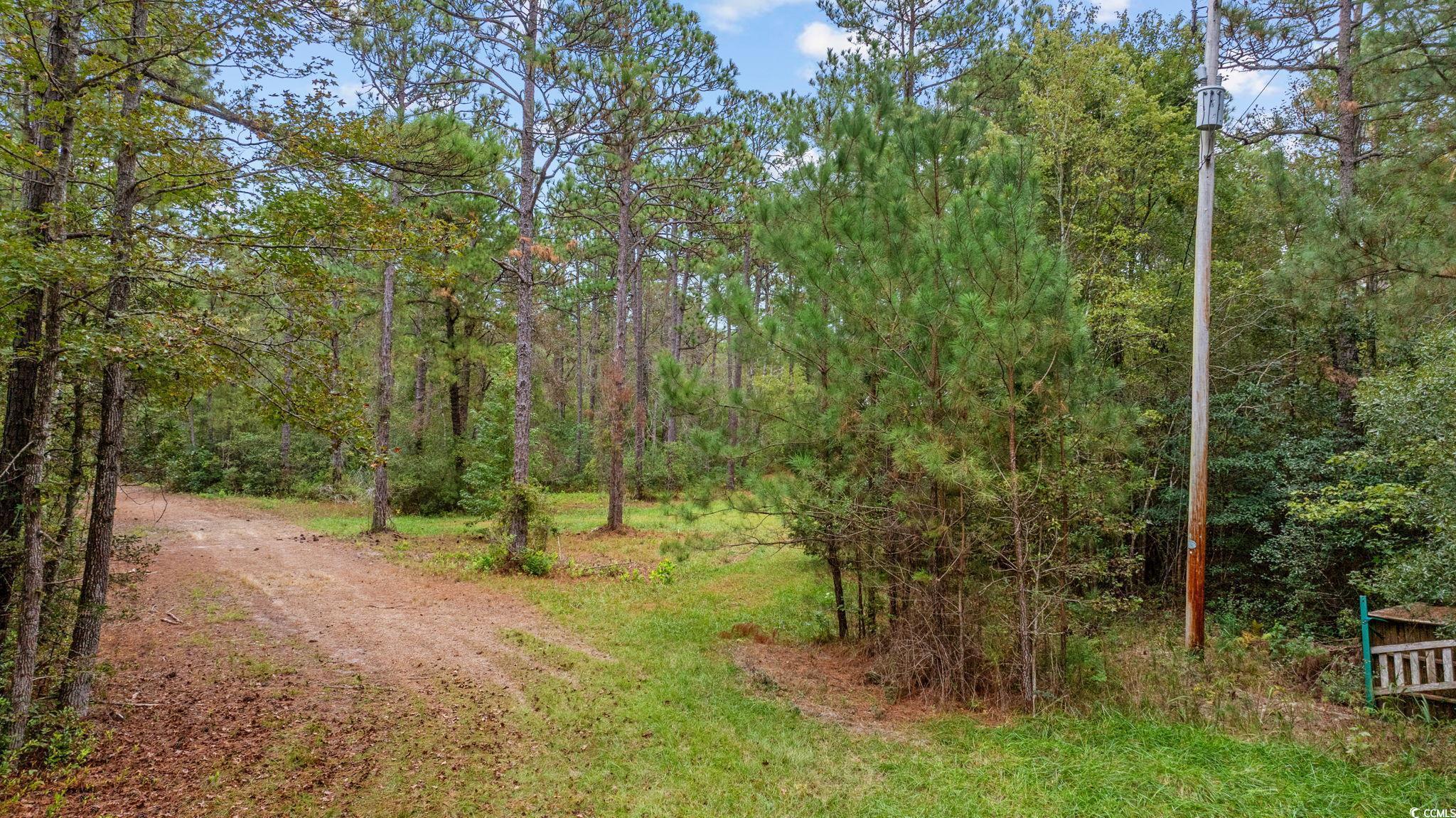 Loris, South Carolina, 29569, United States, ,Land,For Sale,1973987