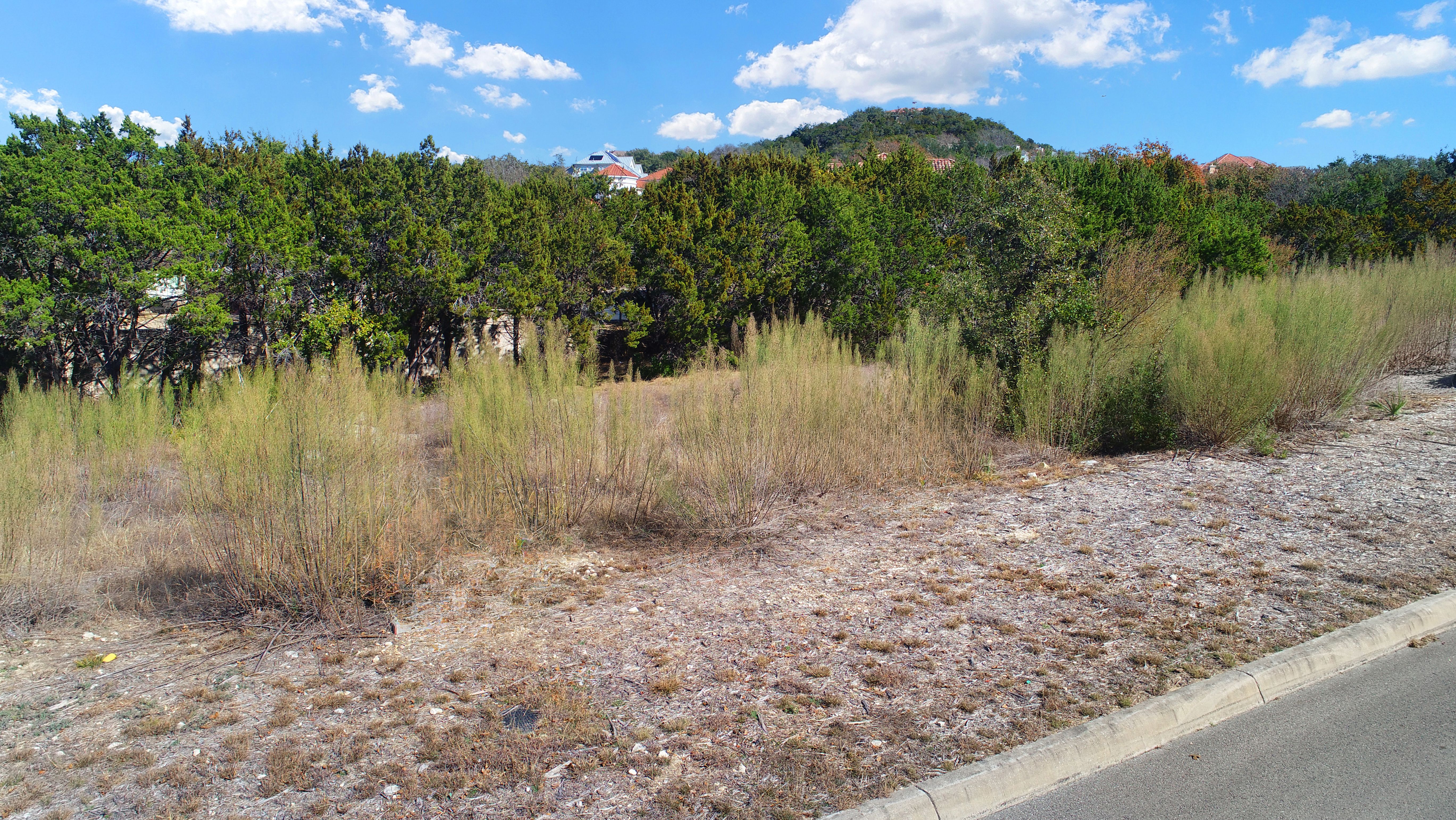  Exclusive Dominion Heights Lot - 物件實景