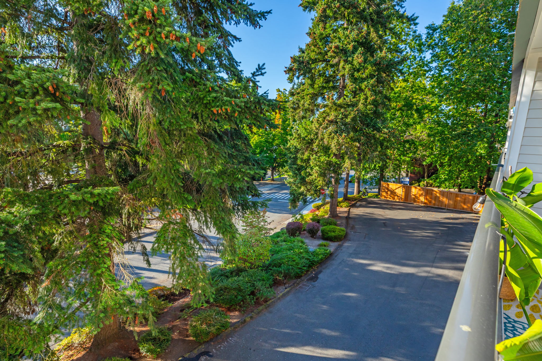  3206 80th Ave SE Unit #3, Mercer Island, WA 98040 - 物件實景