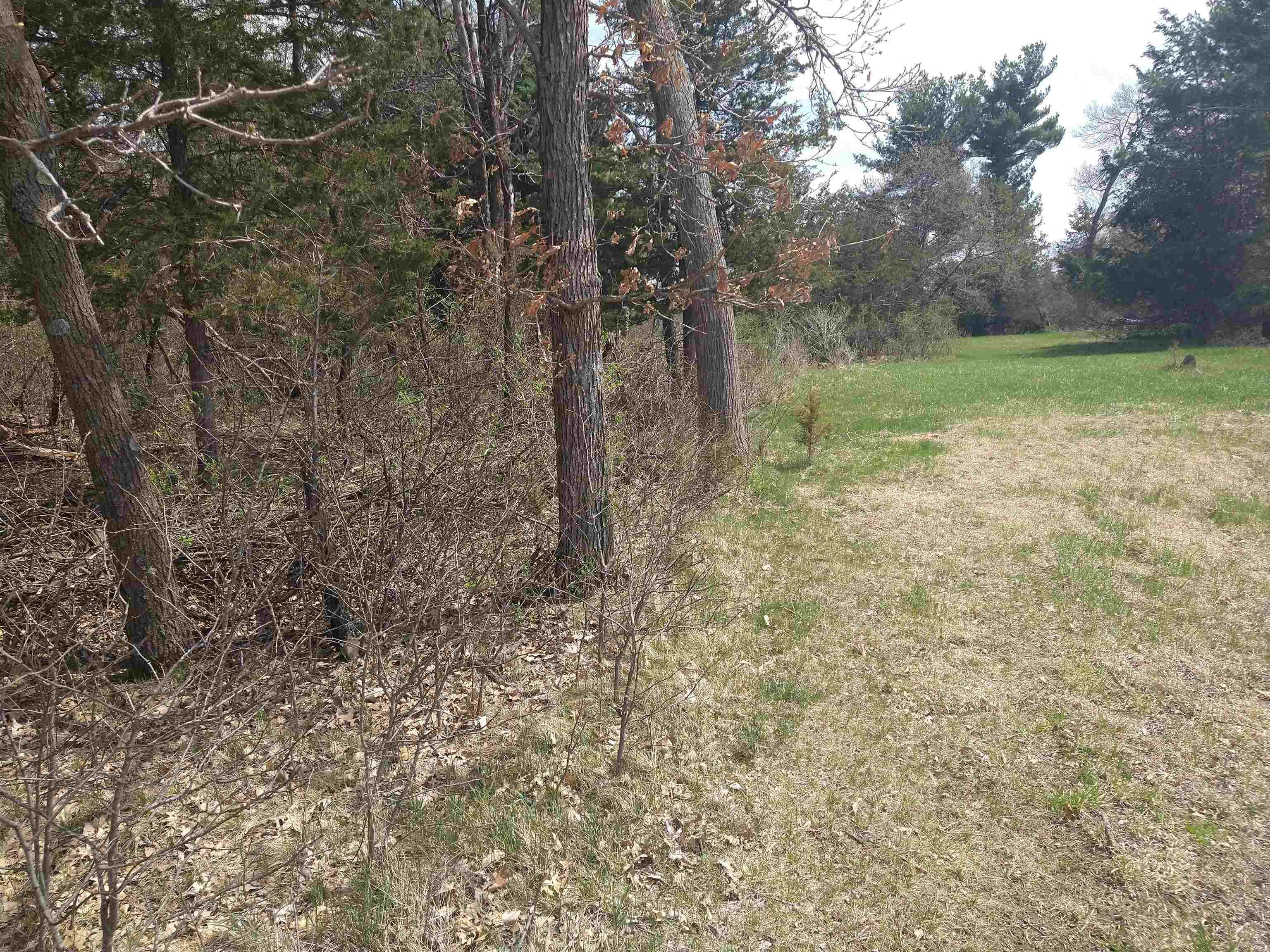 891 County Road Z, Arkdale, Wisconsin, 54613, United States, 4 Bedrooms Bedrooms, ,1 BathroomBathrooms,Residential,For Sale,891 County Road Z,1264713