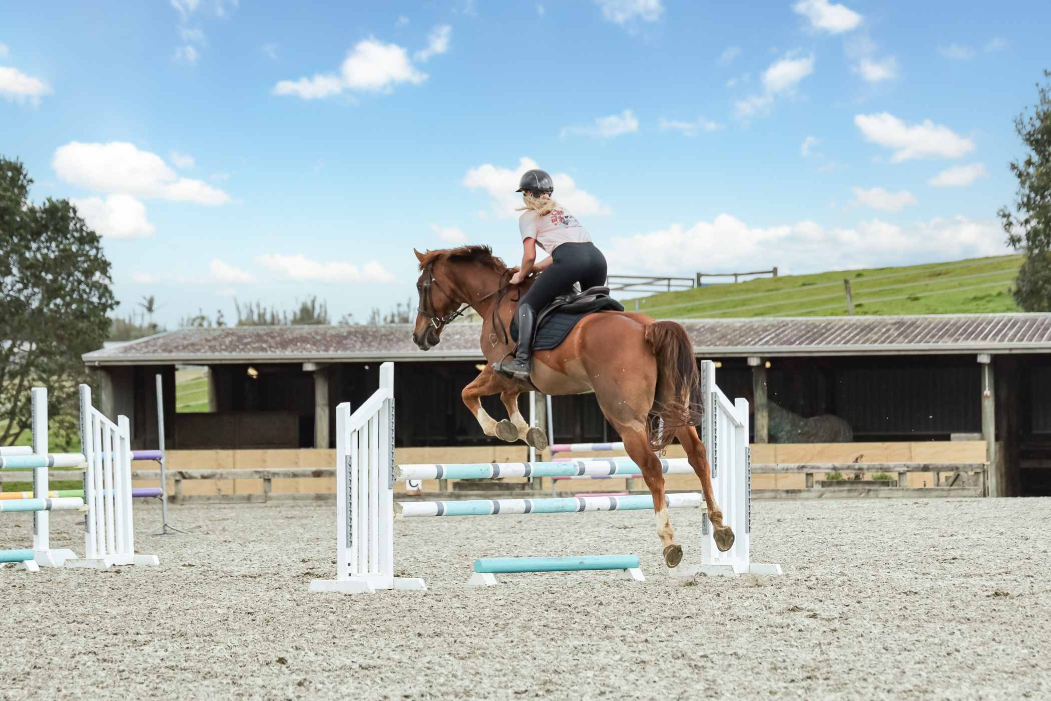  Equestrian Facility - Land Bank with Income - 物件實景