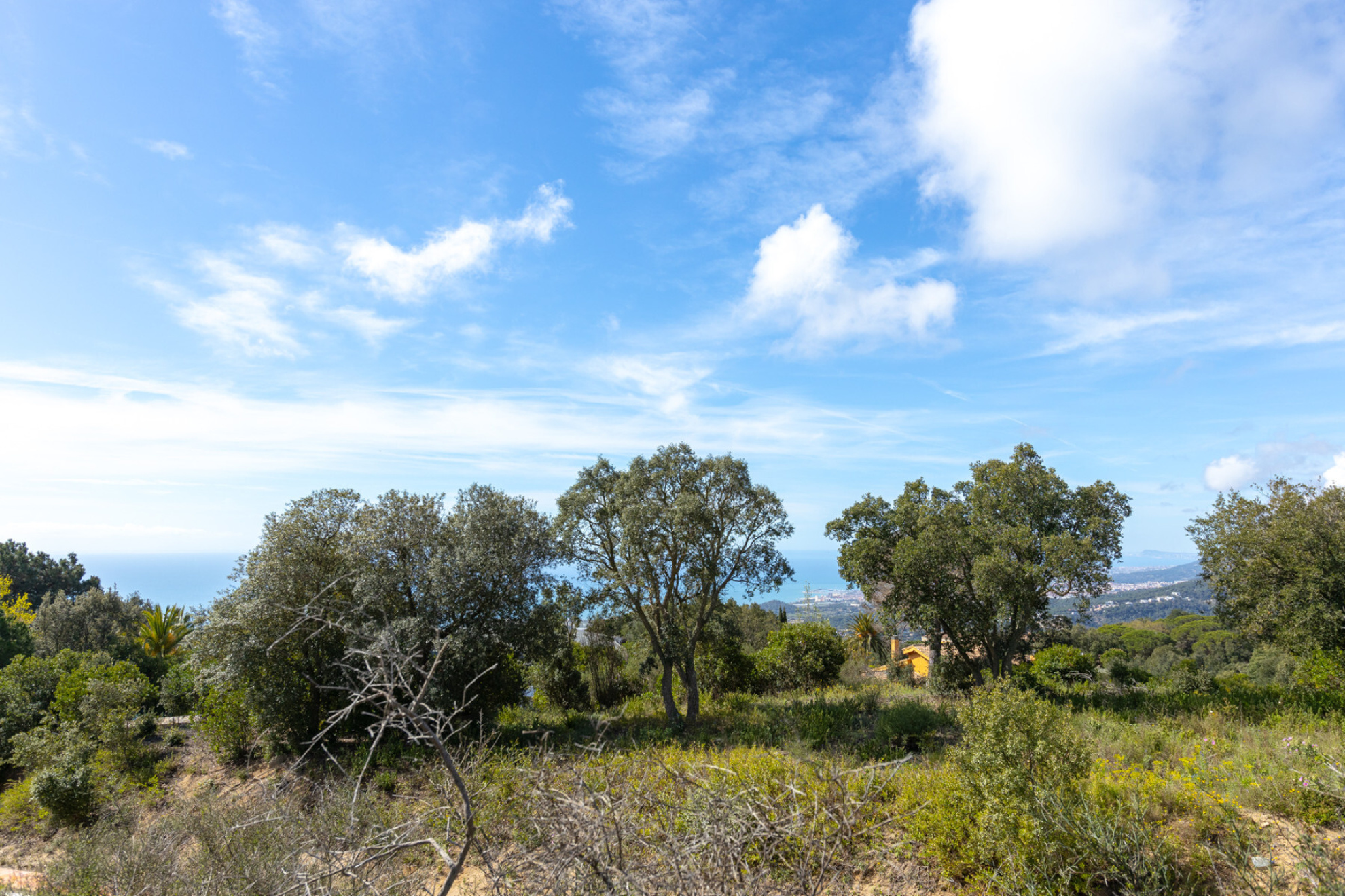  Urban land plus forest in Supermaresme - Costa BCN - 物件實景