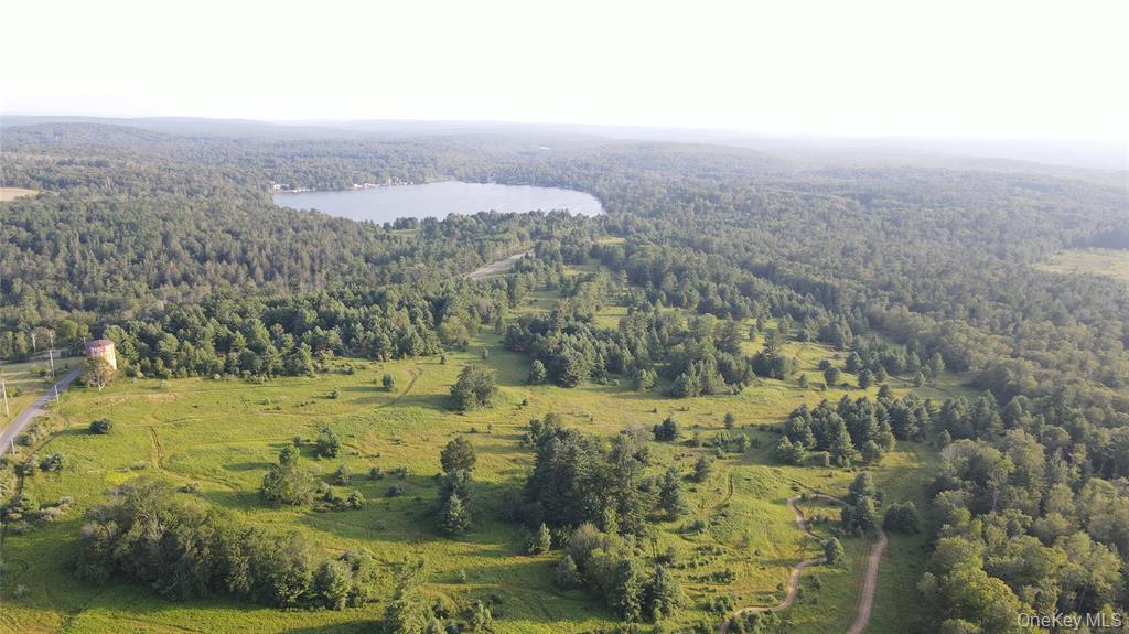 Monticello, New York, 12701, United States, ,Residential,For Sale,1910710