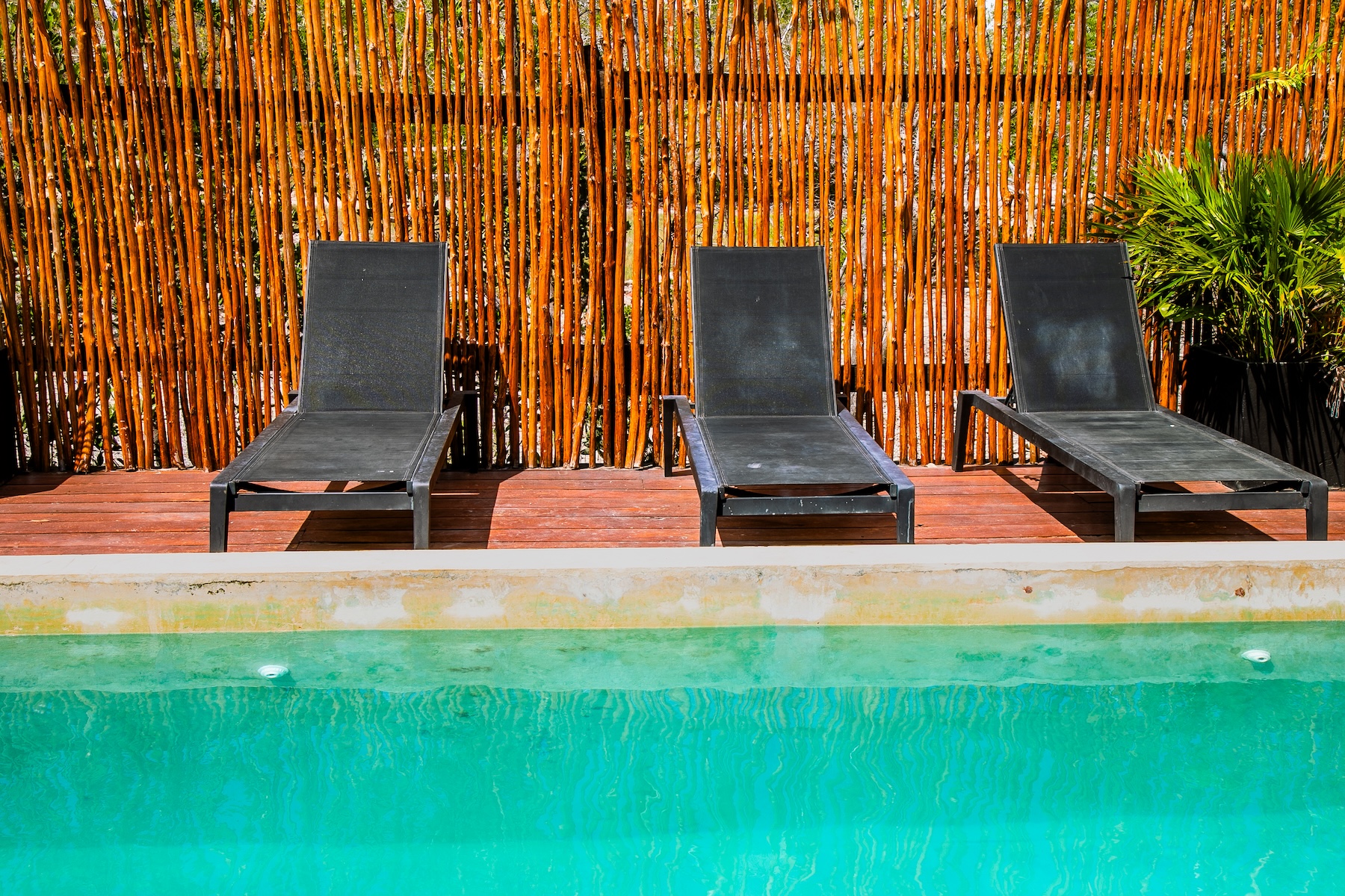  Palafito - Exclusive Eco-Resort & Boutique Hotel - 物件實景