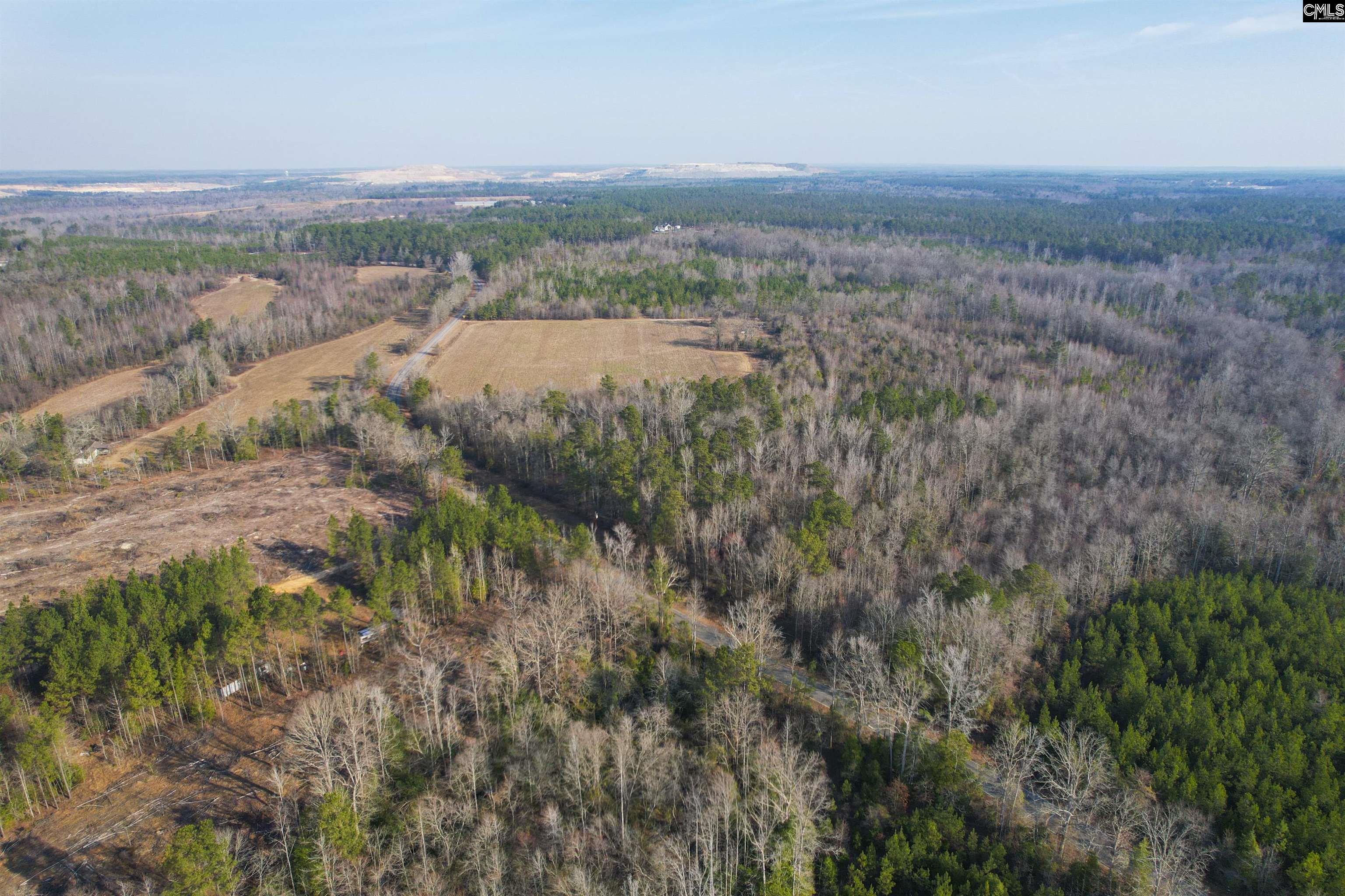 703 Neds Creek Road, Kershaw, South Carolina, 29067, United States, ,Land,For Sale,703 Neds Creek Road,1669372