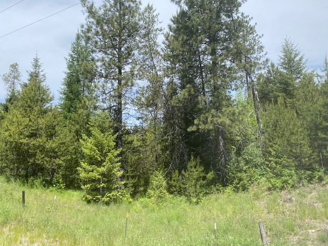 Priest River, Idaho, 83856, United States, ,Land,For Sale,1983206