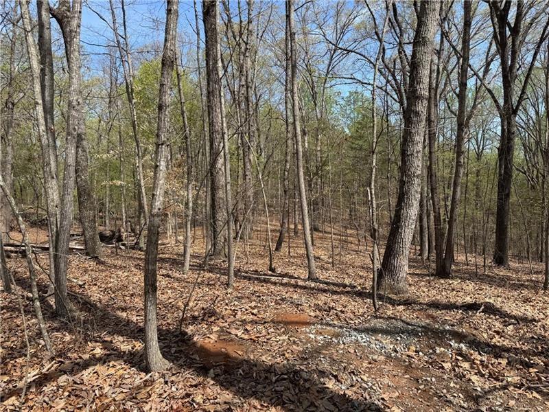 Gainesville, Georgia, 30506, United States, ,Land,For Sale,1992384