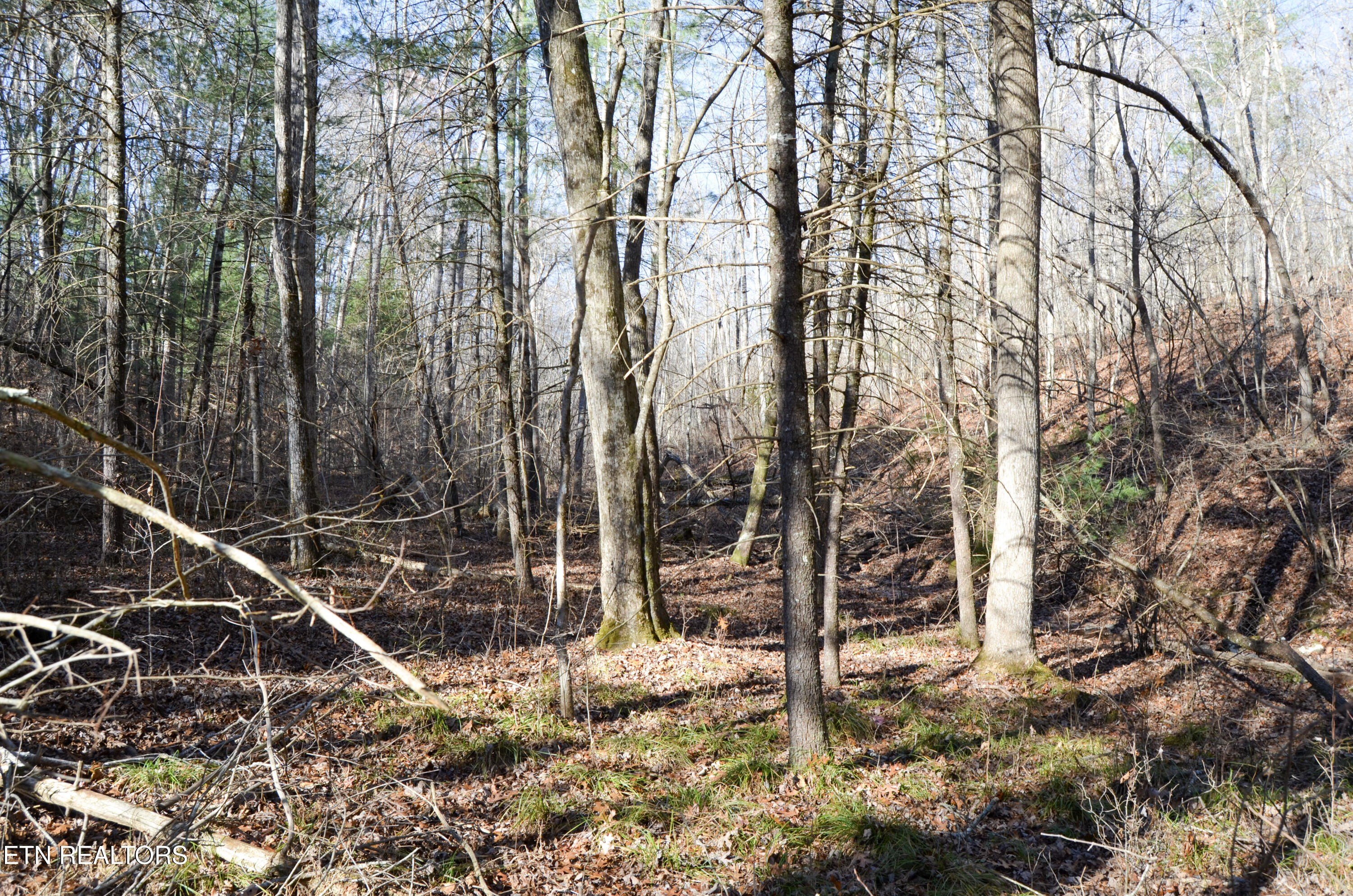 Crossville, Tennessee, 38555, United States, ,Land,For Sale,1978266