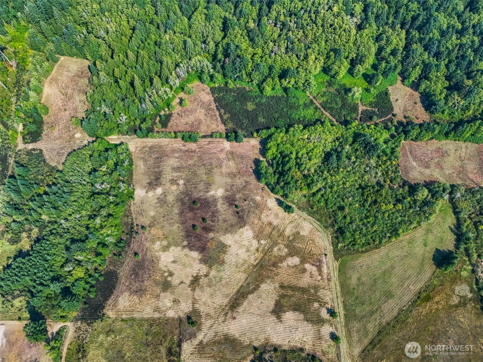 Onalaska, Washington, 98570, United States, ,Land,For Sale,1994245