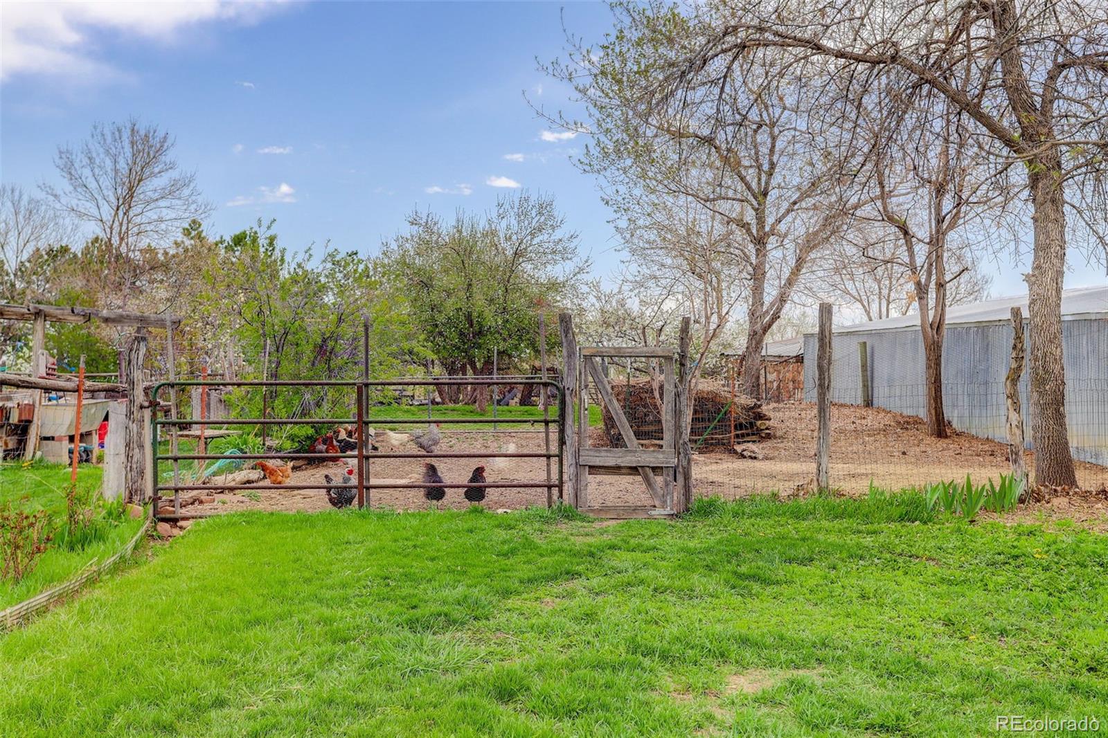 Longmont, Colorado, 80503, United States, 3 Bedrooms Bedrooms, ,1 BathroomBathrooms,Residential,For Sale,1826397