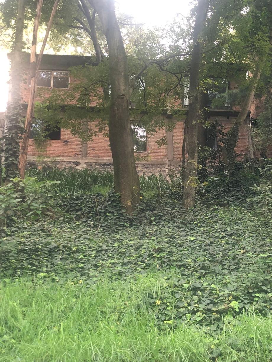 Privada de Cedros, Álvaro Obregón, Ciudad de México, 01790, Mexico, 4 Bedrooms Bedrooms, ,3 BathroomsBathrooms,Residential,For Sale,Privada de Cedros,1443690