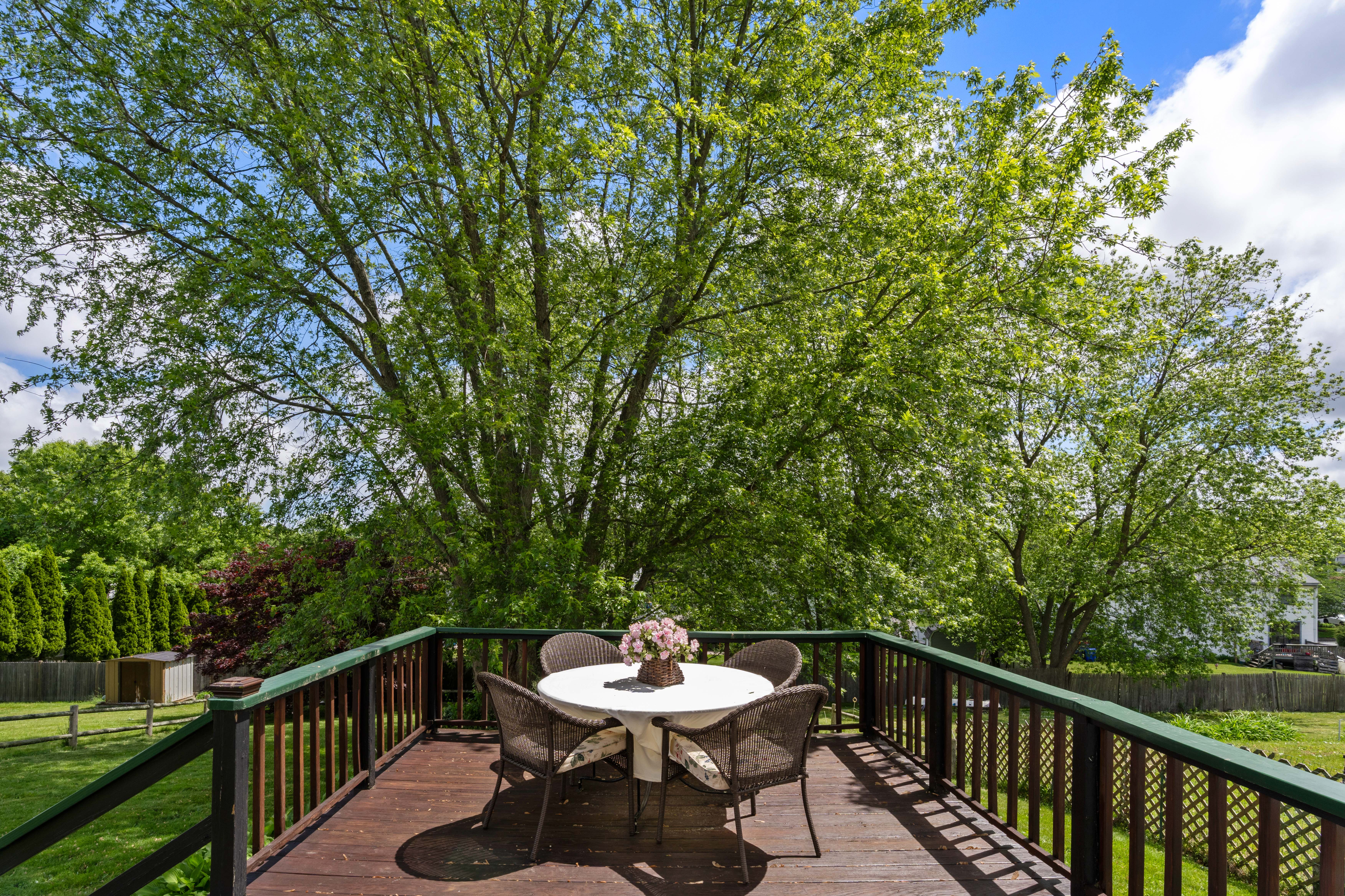  59 Boylston Street, Randolph, MA, 02366 - 物件實景