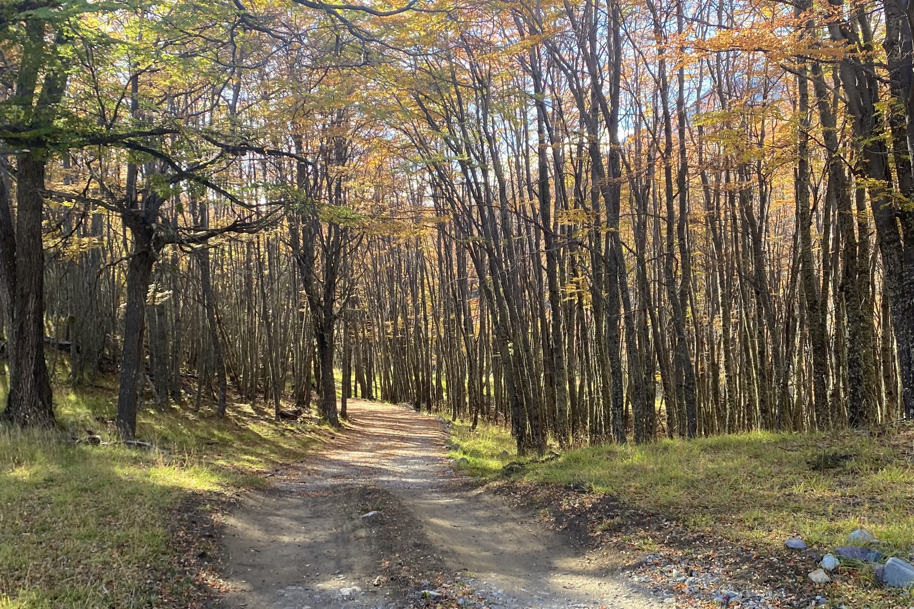  50-Hectare Property Adjacent to Cerro Castillo with 1.3 km of Waterfront - 物件實景