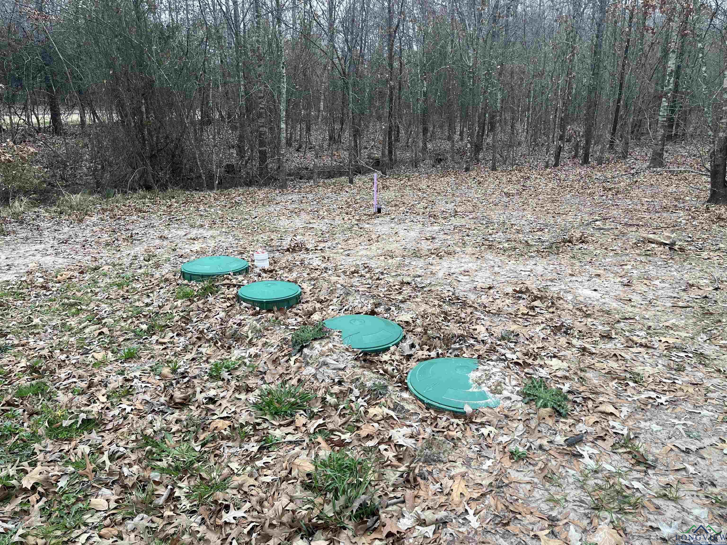 Bogata, Texas, 75417, United States, ,Land,For Sale,1713371