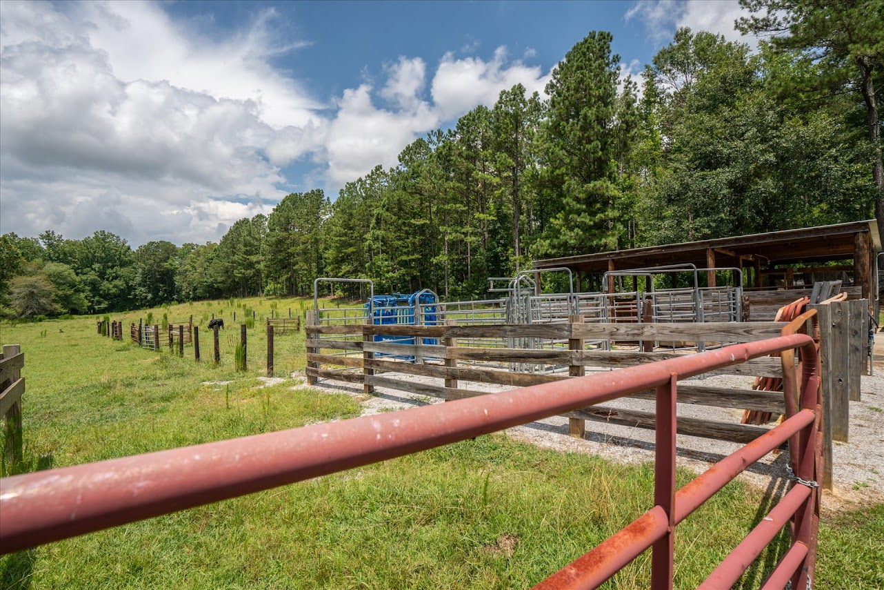 Heflin, Alabama, 36264, United States, ,Land,For Sale,1981342