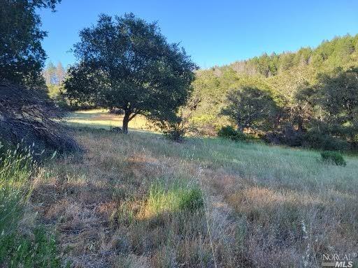 6200 cavedale RD, Glen Ellen, California, 95442, United States, 4 Bedrooms Bedrooms, ,4 BathroomsBathrooms,Residential,For Sale,6200 cavedale RD,1341783