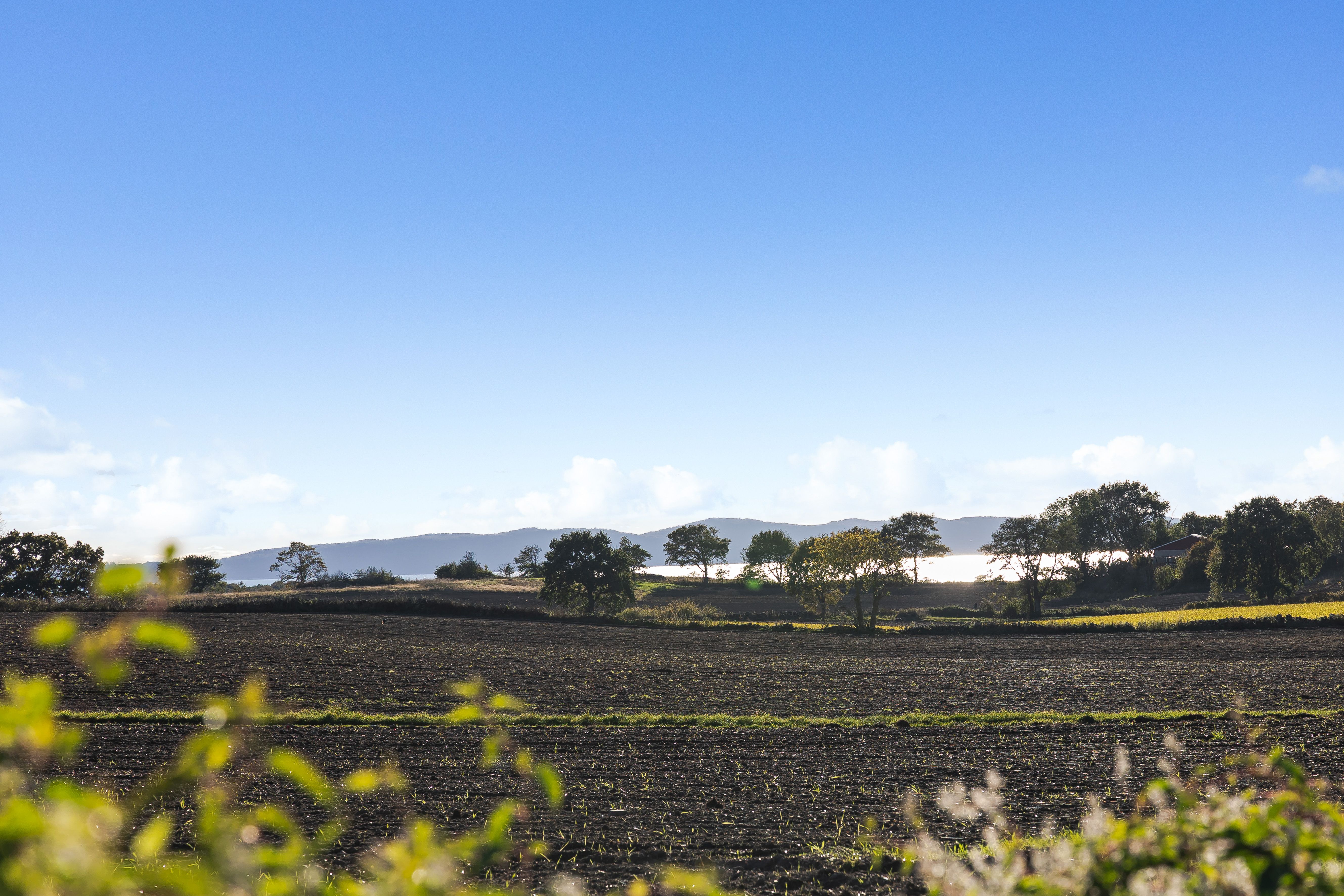  A Touch of Provence in the Heart of the Bjäre Peninsula - 物件實景