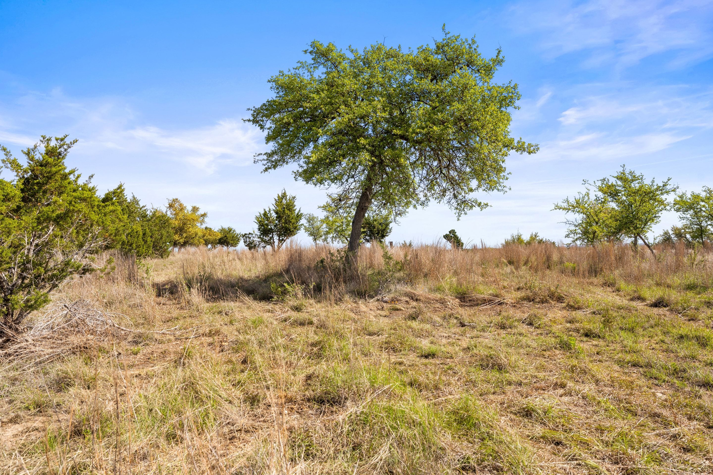  83 S Flat Rock Way - 5 Acre Lot in Gated Legacy Hills - 物件實景