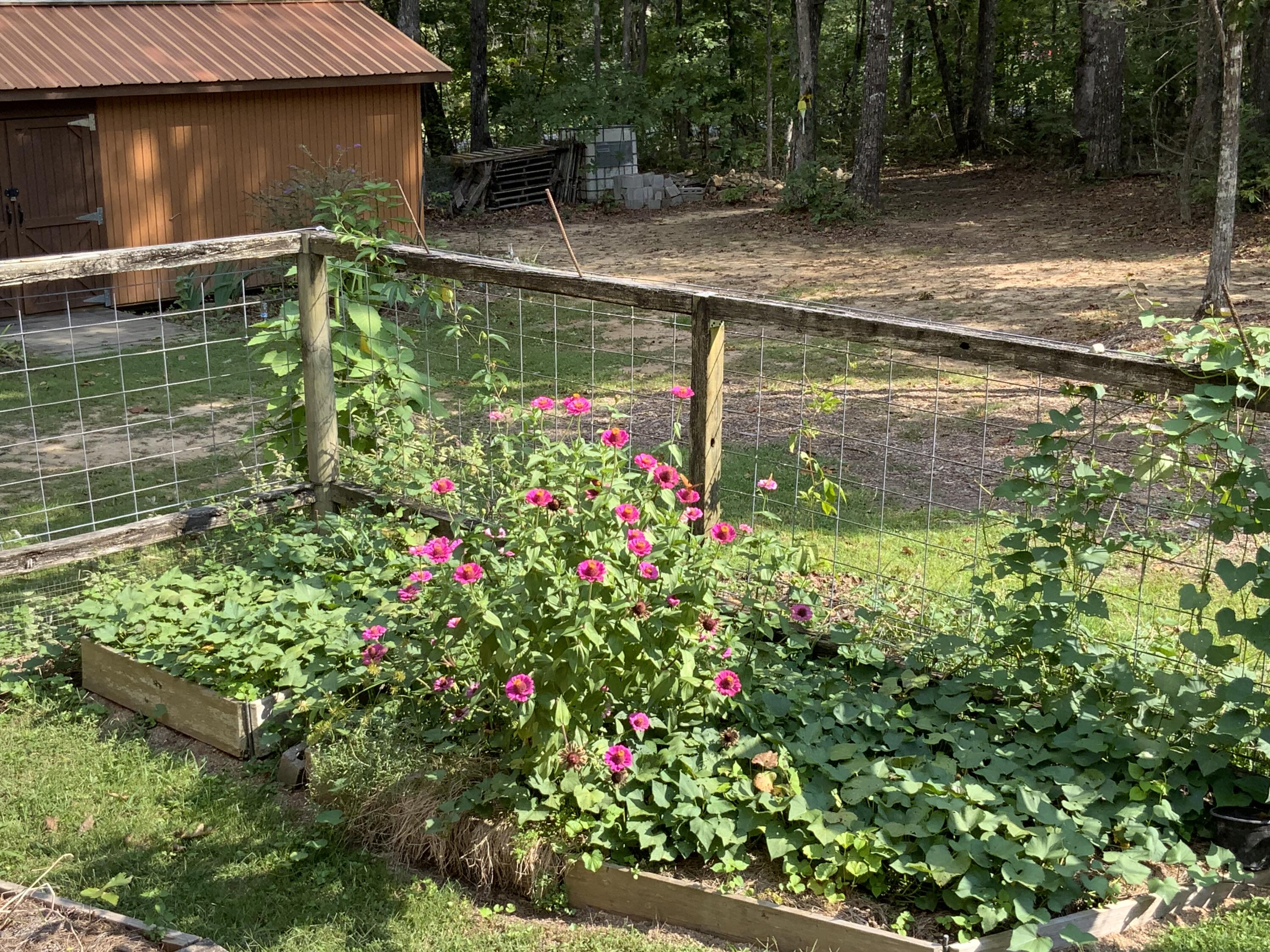 Tracy City, Tennessee, 37387, United States, 3 Bedrooms Bedrooms, ,Residential,For Sale,1979741