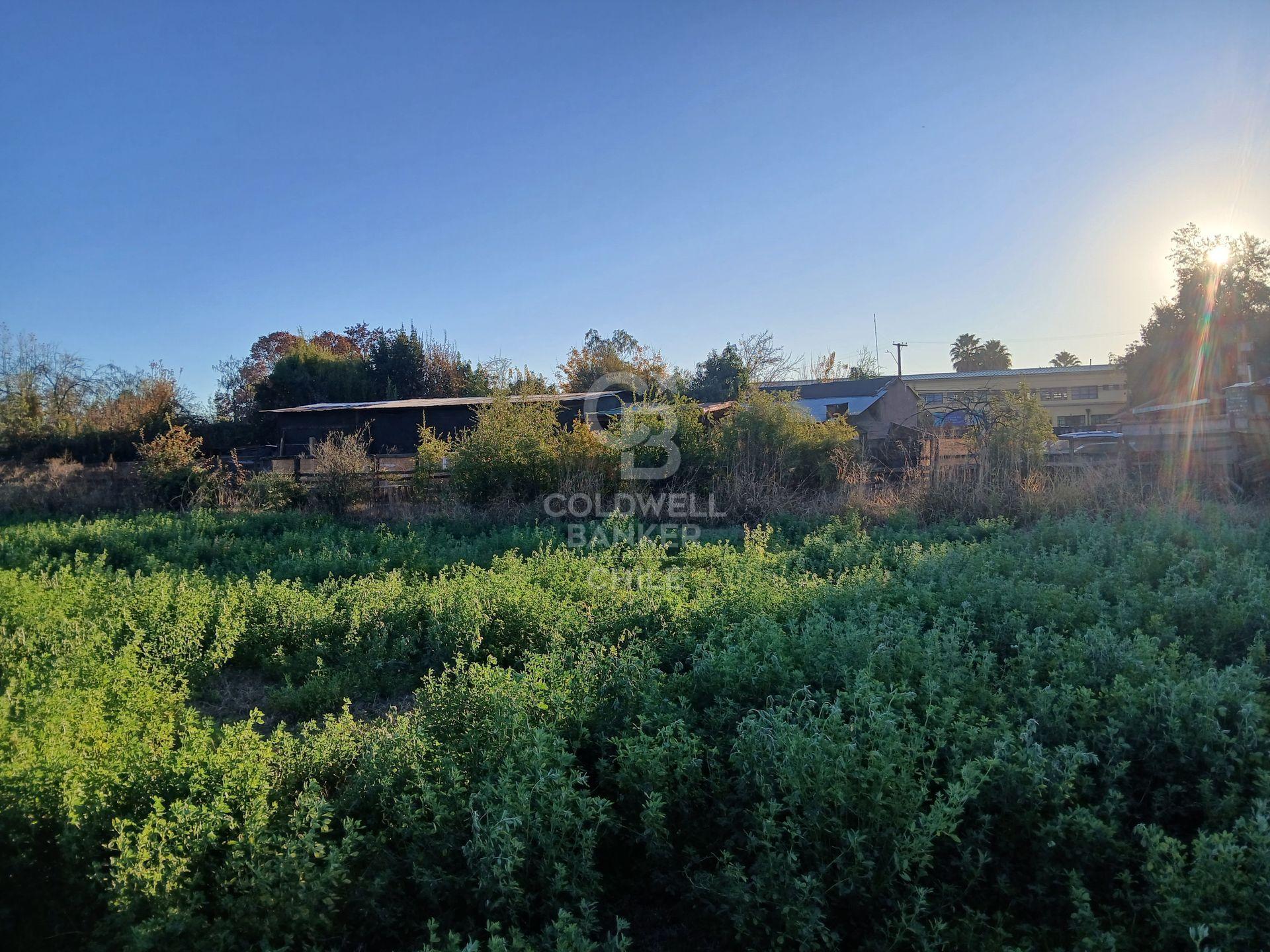 San Esteban, Chile, ,Land,For Sale,1926022