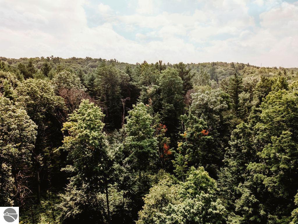 Williamsburg, Michigan, 49690, United States, ,Land,For Sale,1906031