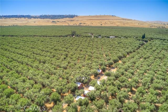 Oroville, California, 95965, United States, ,Land,For Sale,1978815