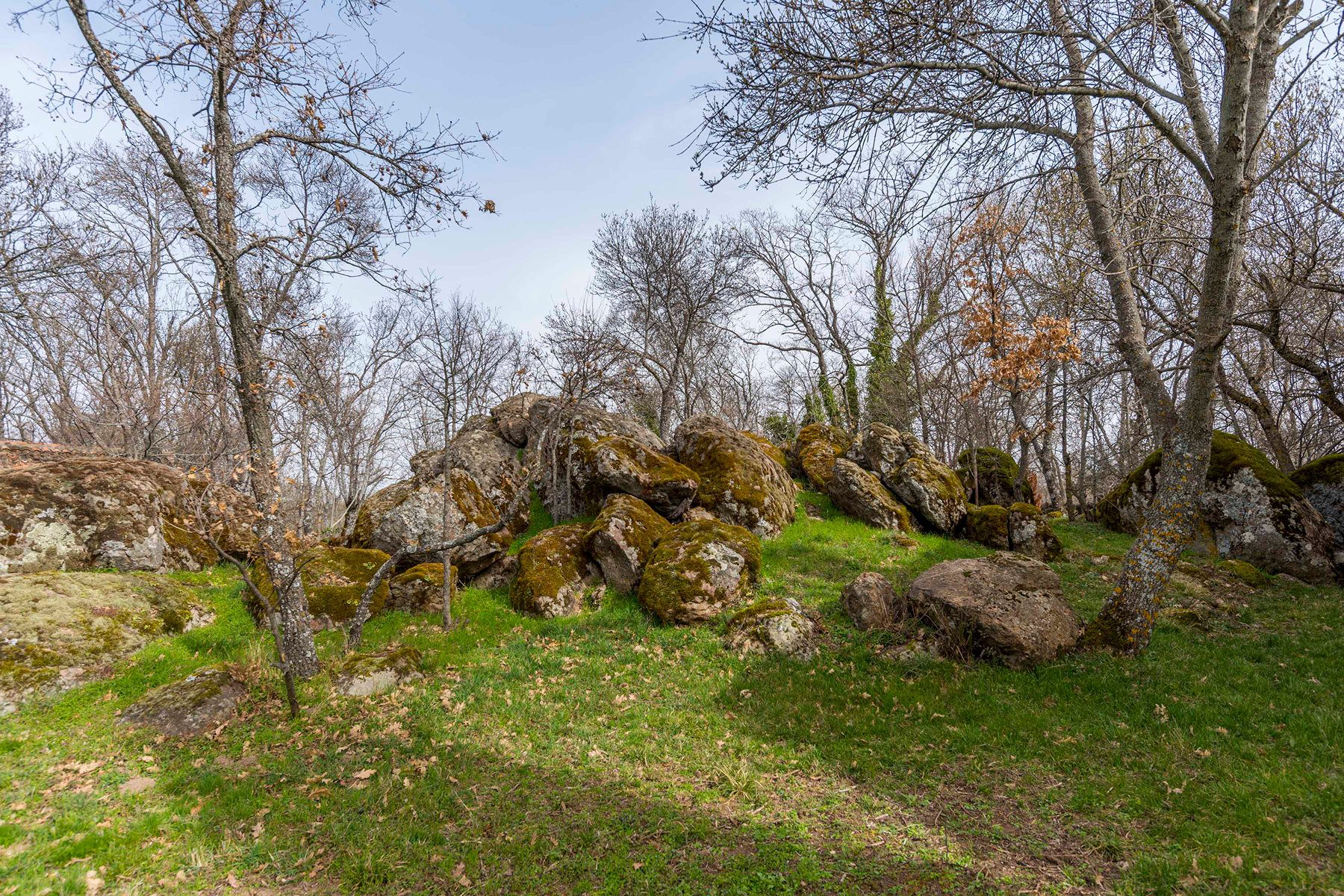  Spectacular estate for promotion in Sotosalbos, Segovia - 物件實景