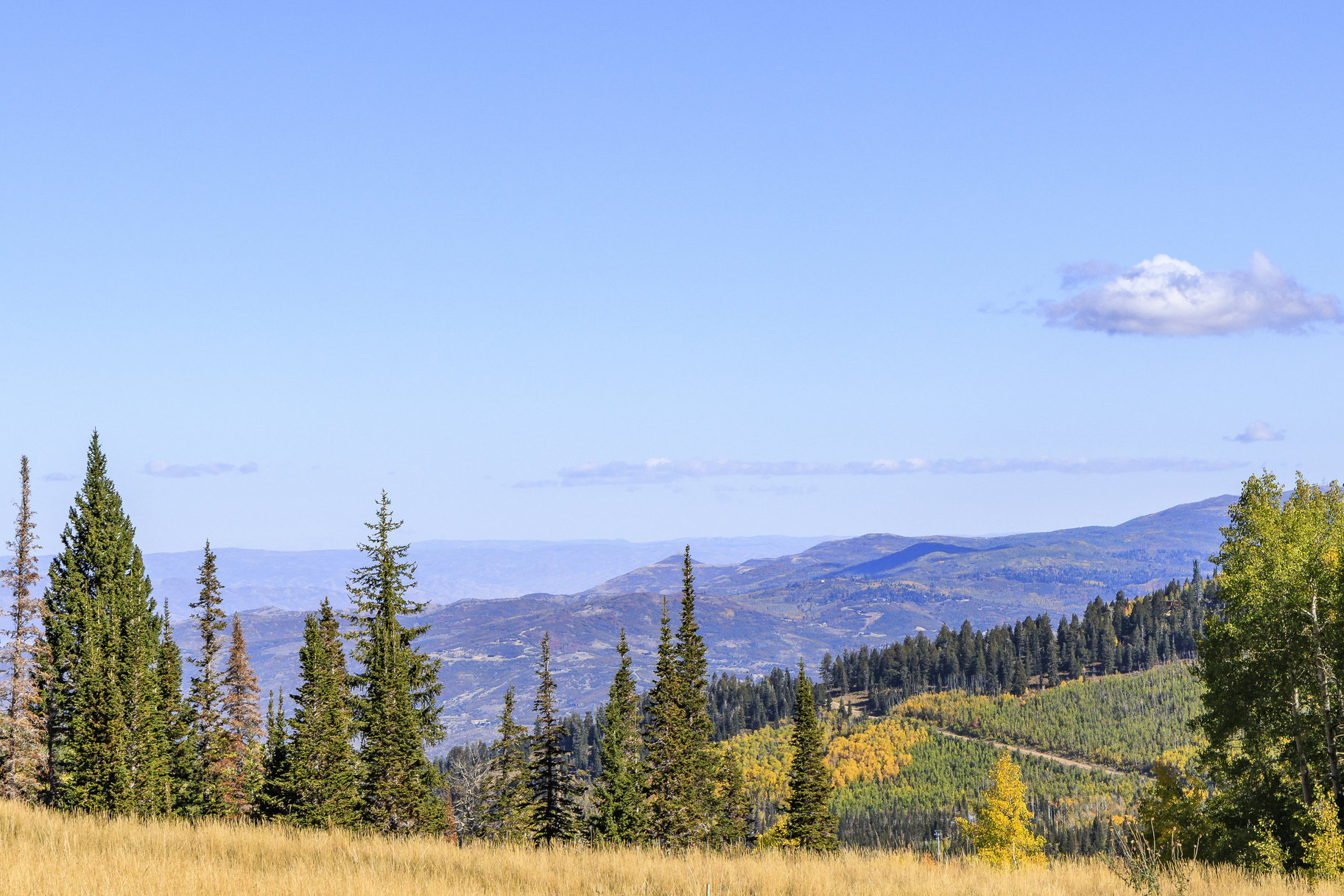  Incredible 28 Acre Estate Lot in the Colony at White Pine Canyon - 物件實景