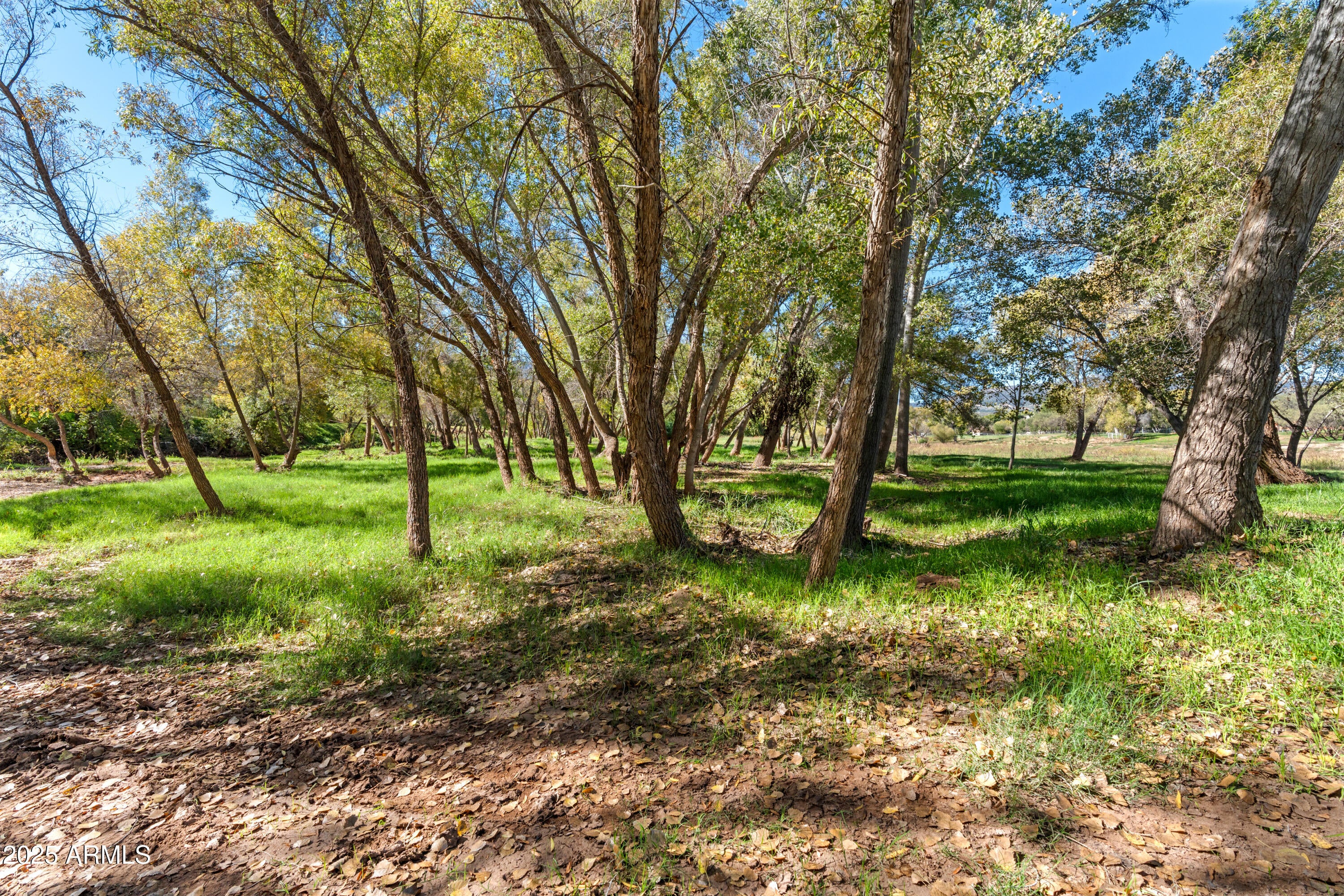 Camp Verde, Arizona, 86322, United States, 4 Bedrooms Bedrooms, ,3 BathroomsBathrooms,Residential,For Sale,1997165