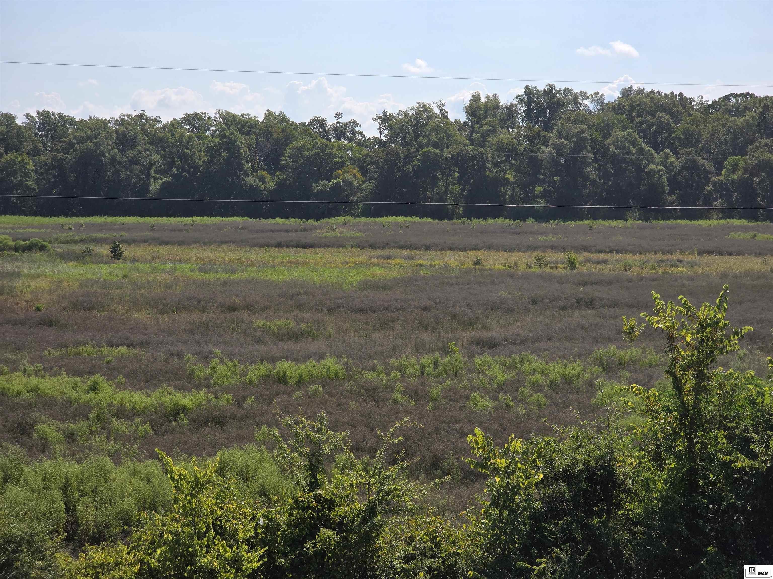 Rayville, Louisiana, 71269, United States, ,Residential,For Sale,1916667